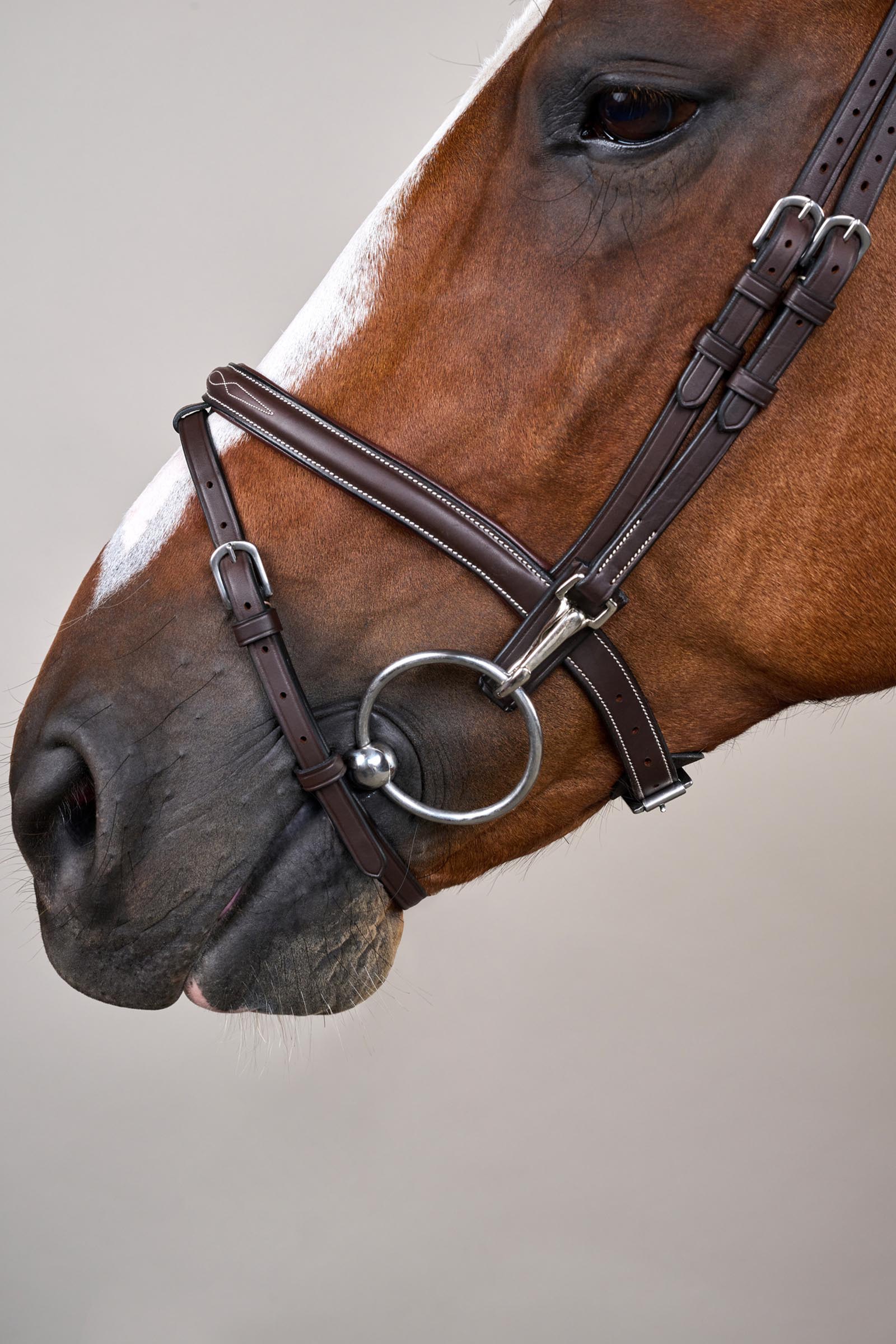 Dy'on Working tr&auml;ns med kombinerad nosgrimma och karbinhakar  