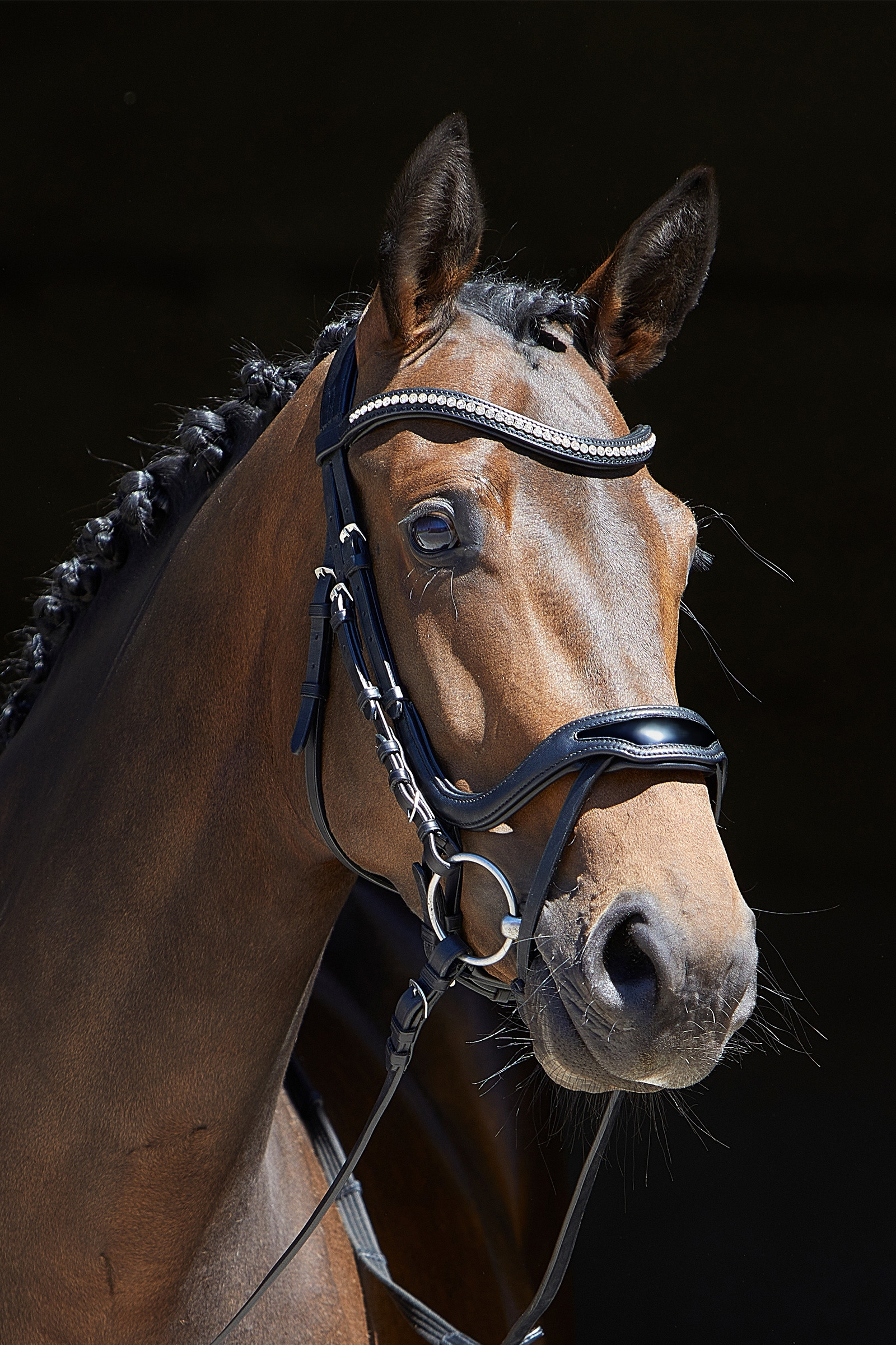 Kieffer Anouk Softtech Line Bridle