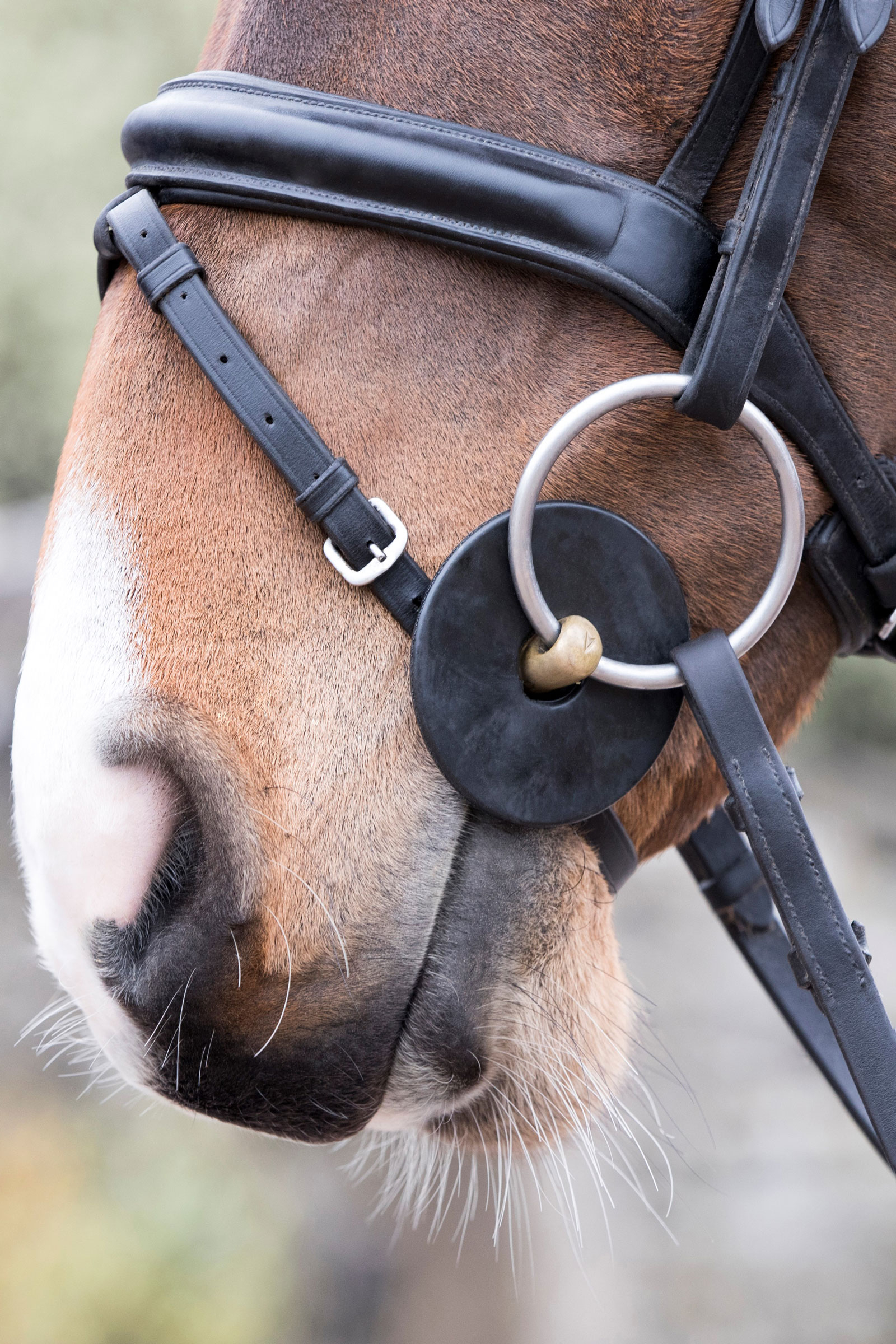 LeMieux bettringar i silikon