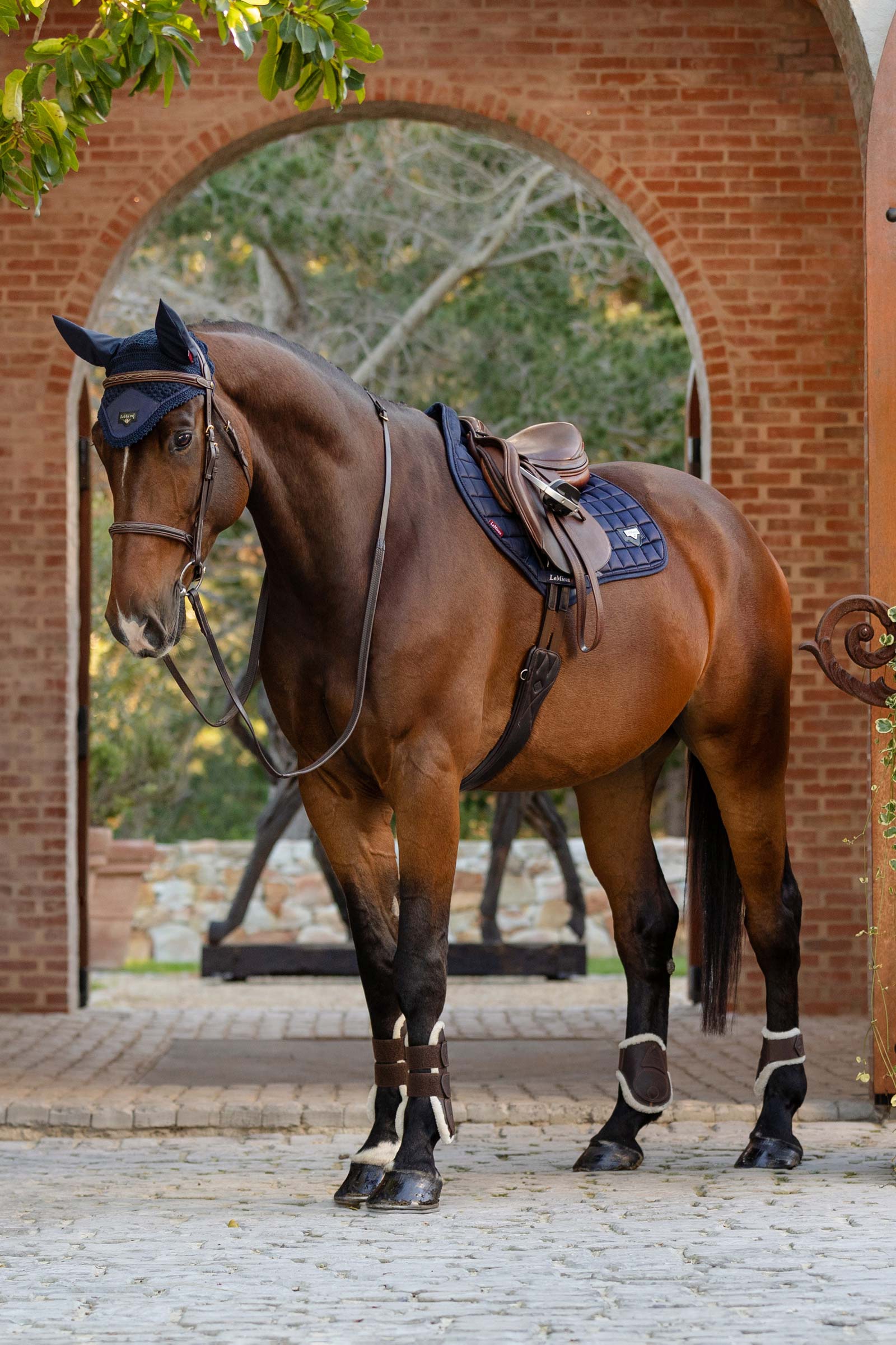 LeMieux Loire Classic Square CC Hoppschabrak