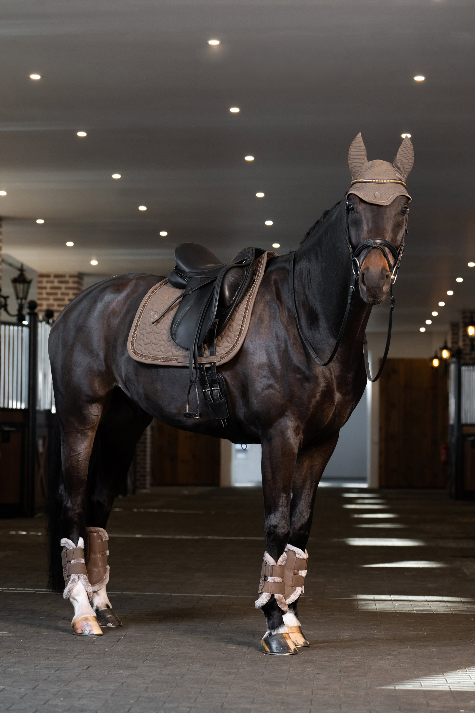 Eskadron Platinum 25 Dynair Mesh Sport flughuva