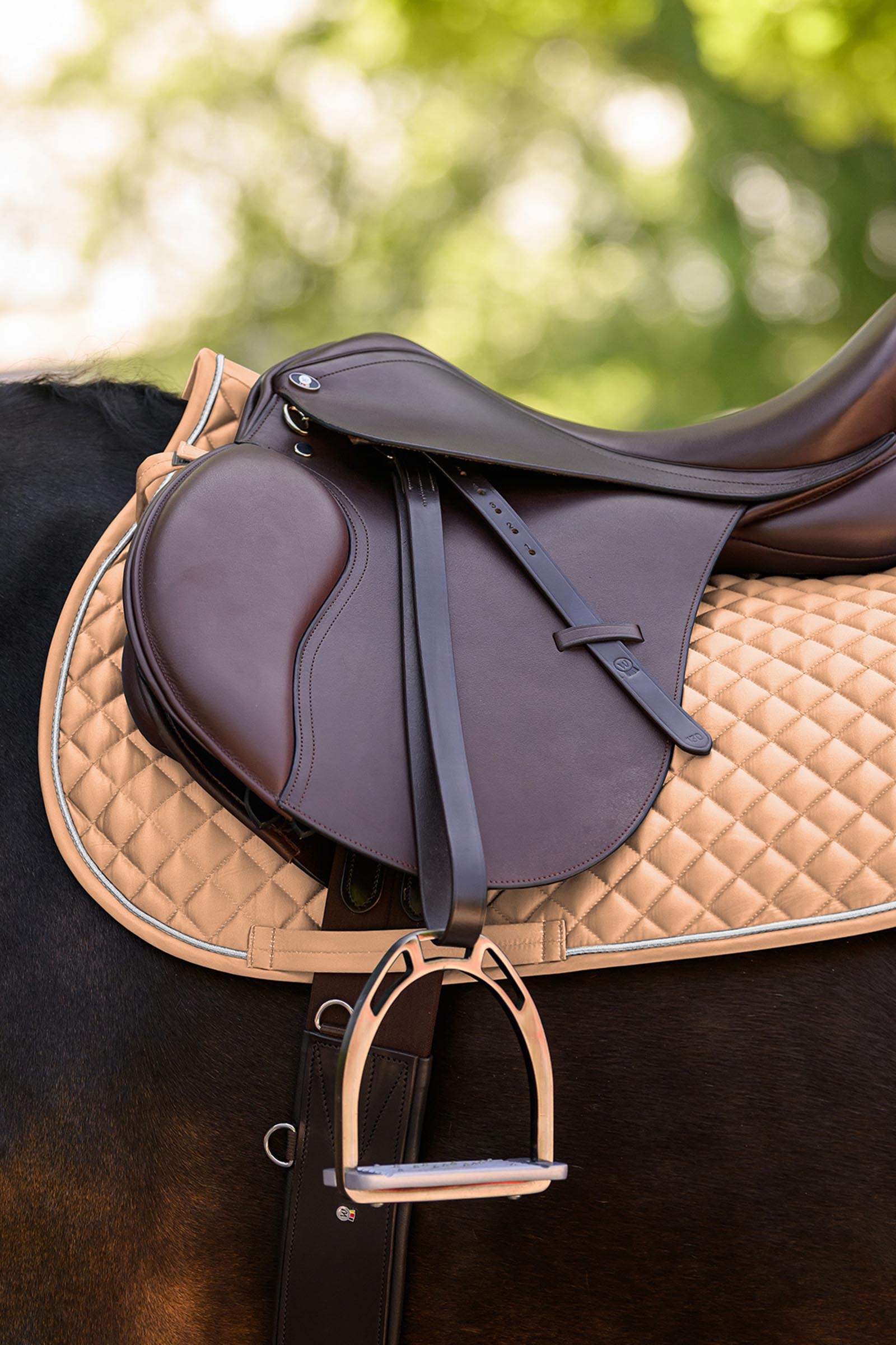 Waldhausen Felix Glam allround schabrak