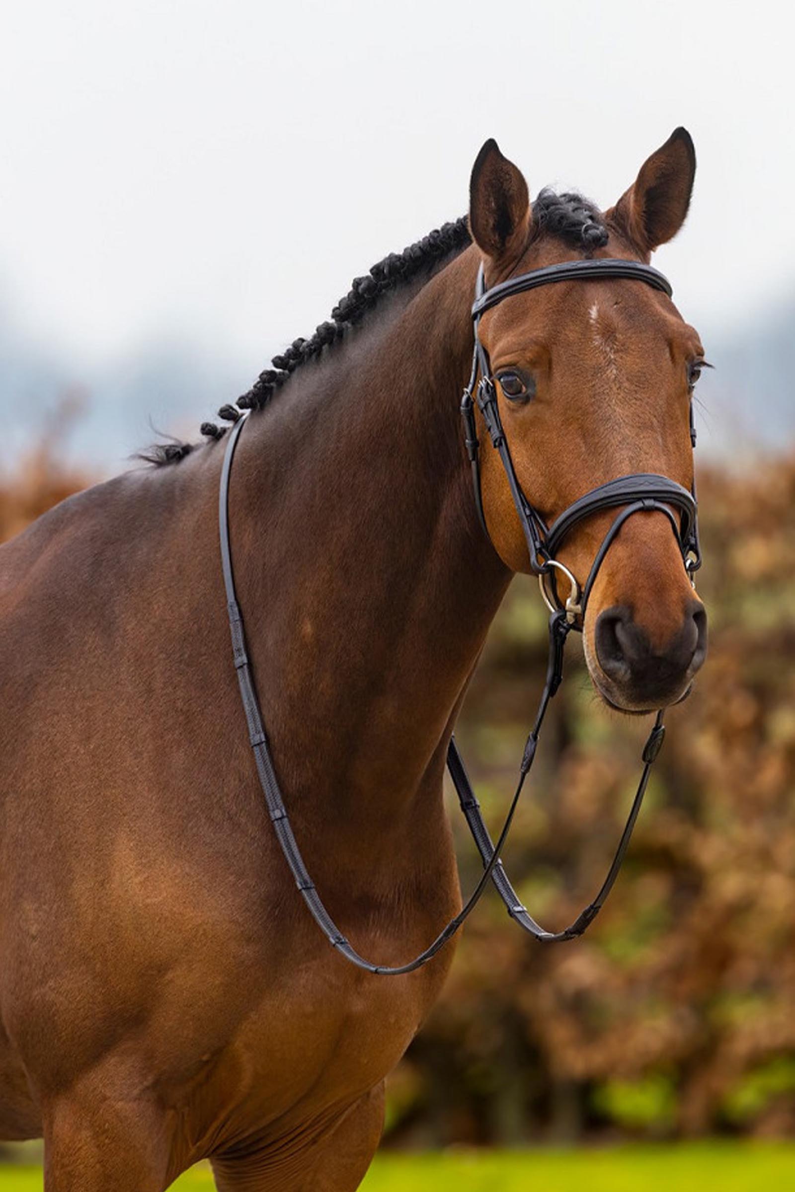 Trust Equestrian Amsterdam Kombinerad nosgrimma Anatomiskt tr&auml;ns