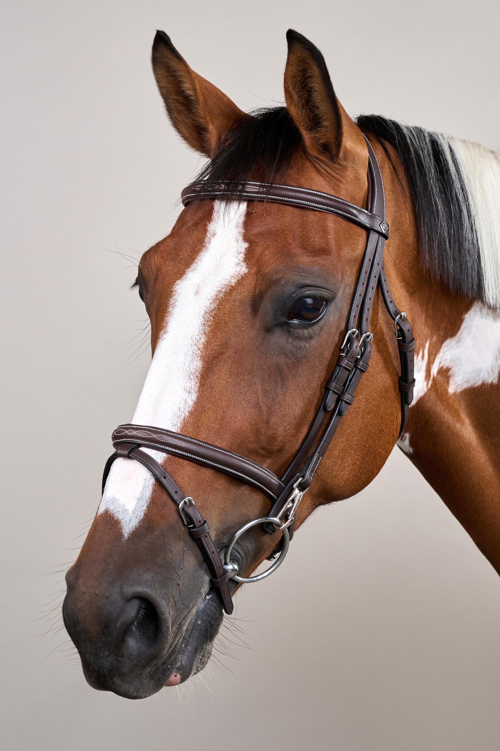 Dy'on Working tr&auml;ns med kombinerad nosgrimma och karbinhakar  