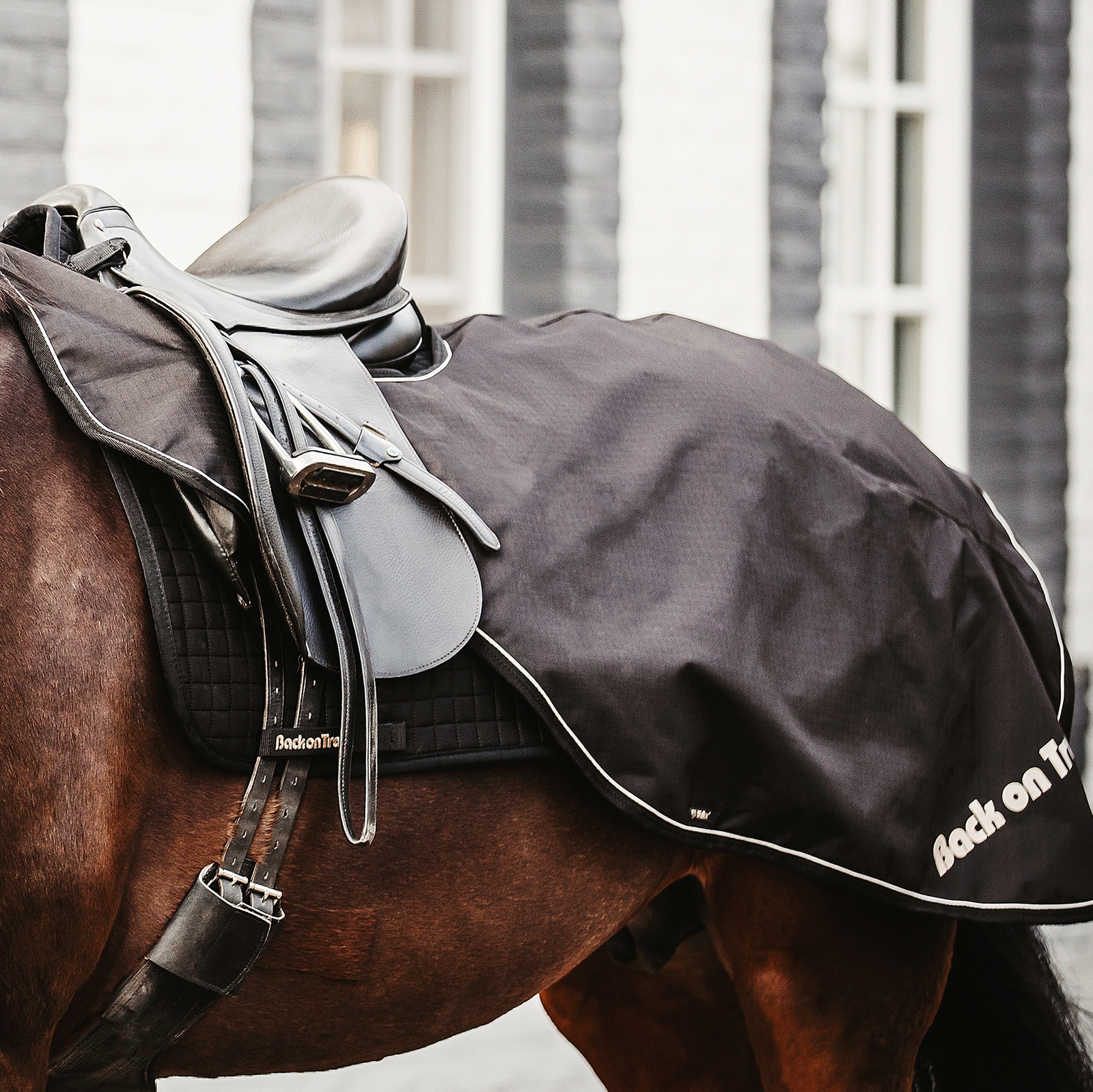 Back on Track Sammy ridtäcke, 50g