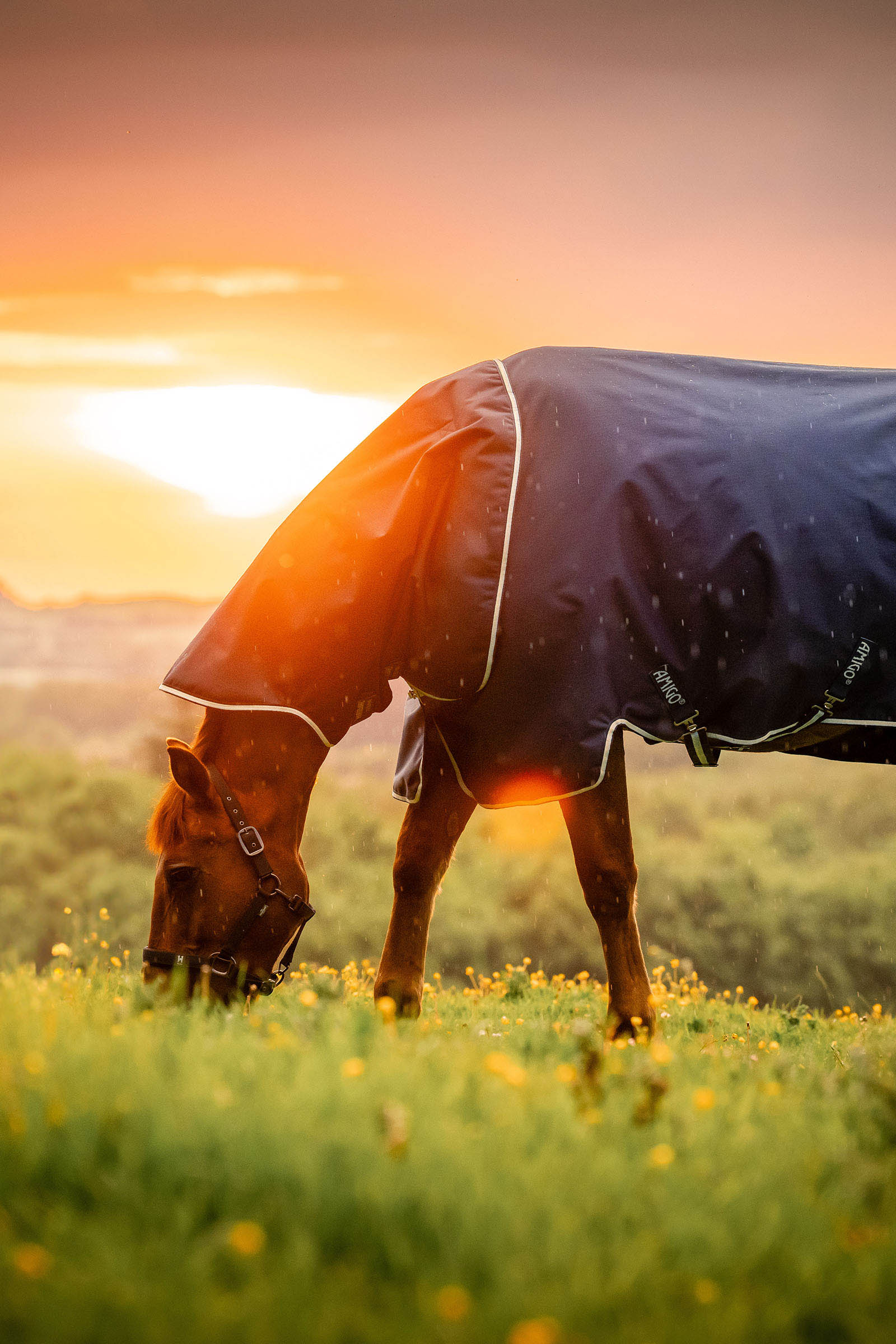 Witney Navy Horseware Amigo Ripstop 900D Plus utetäcke, 200 g