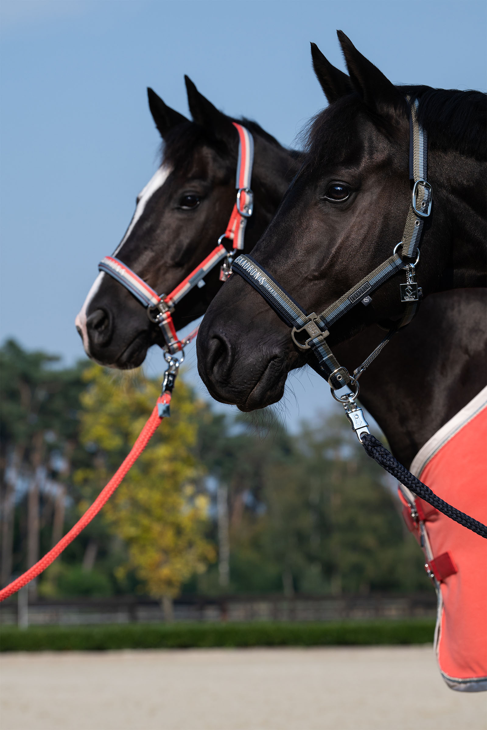 Eskadron Classic Sports SS25 Grimma med dubbelsp&auml;nne