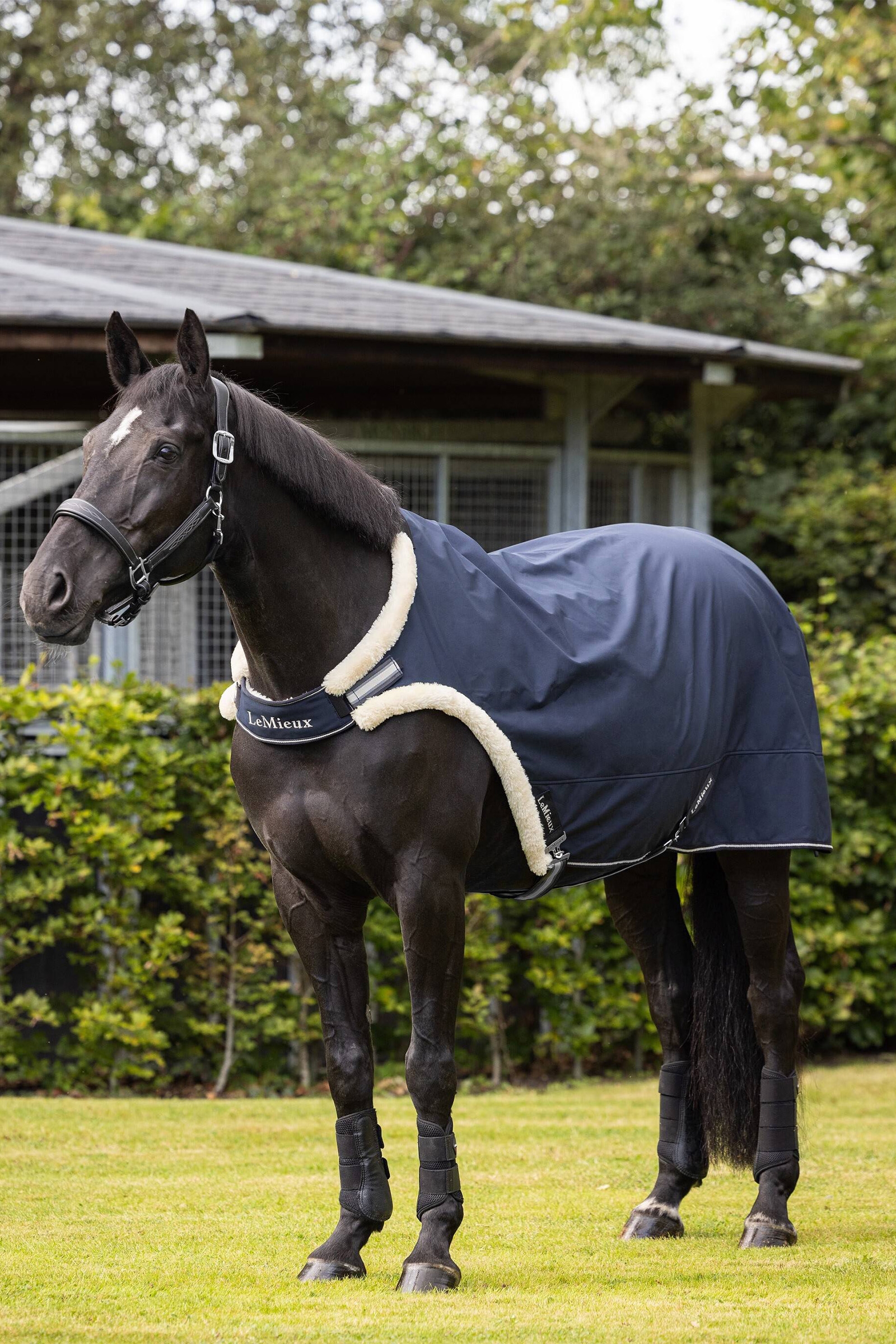 LeMieux Ledt&auml;cke