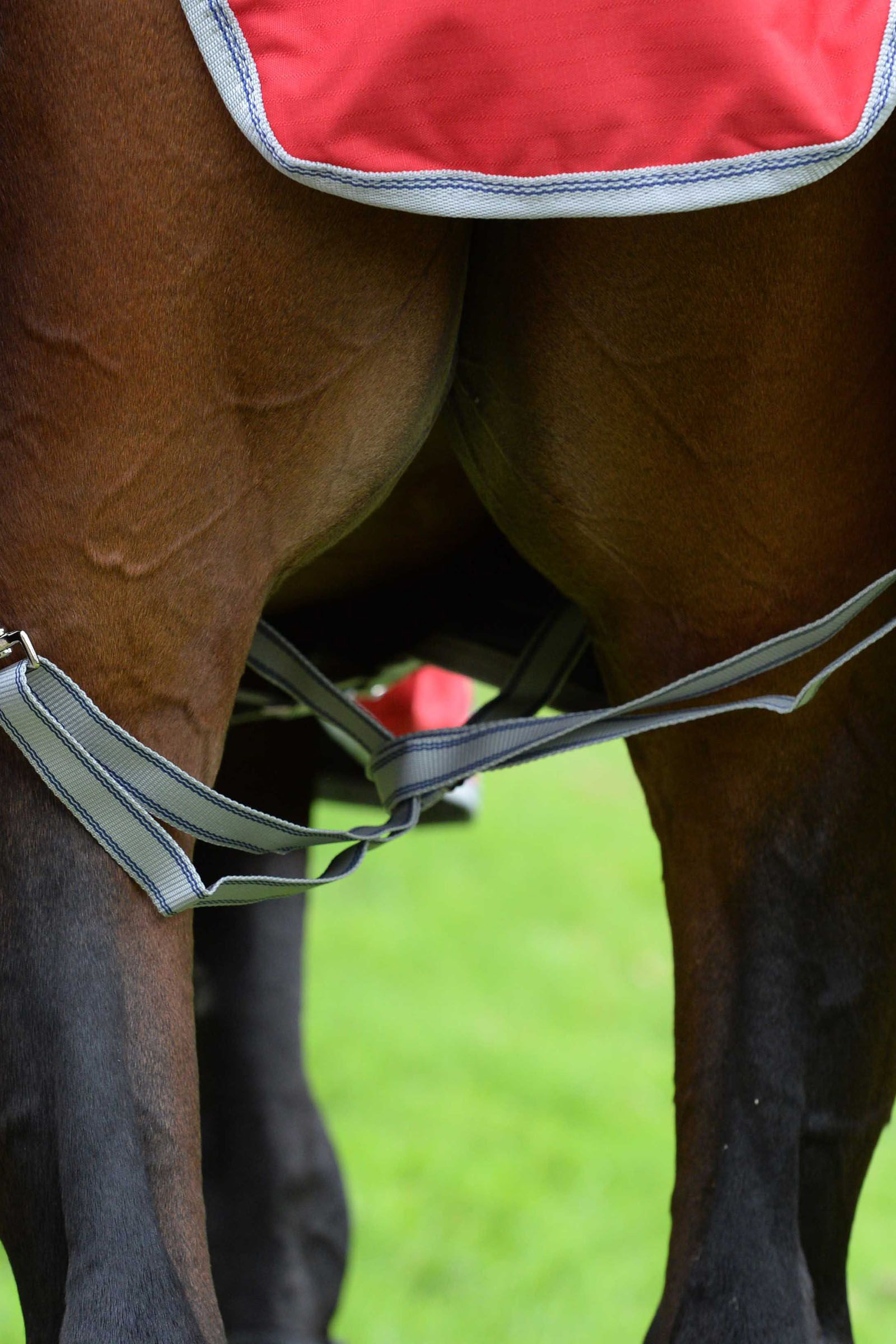 Weatherbeeta Comfitec Classic Hästtäcken med integrerat hals, 50g