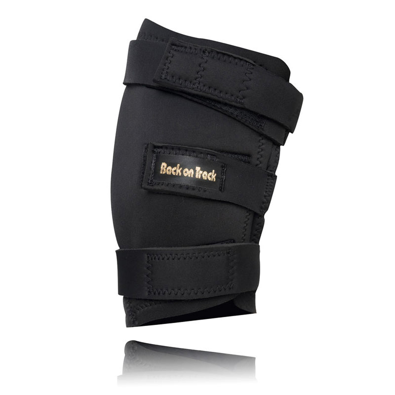 Back-On-Track hasskydd, vänster