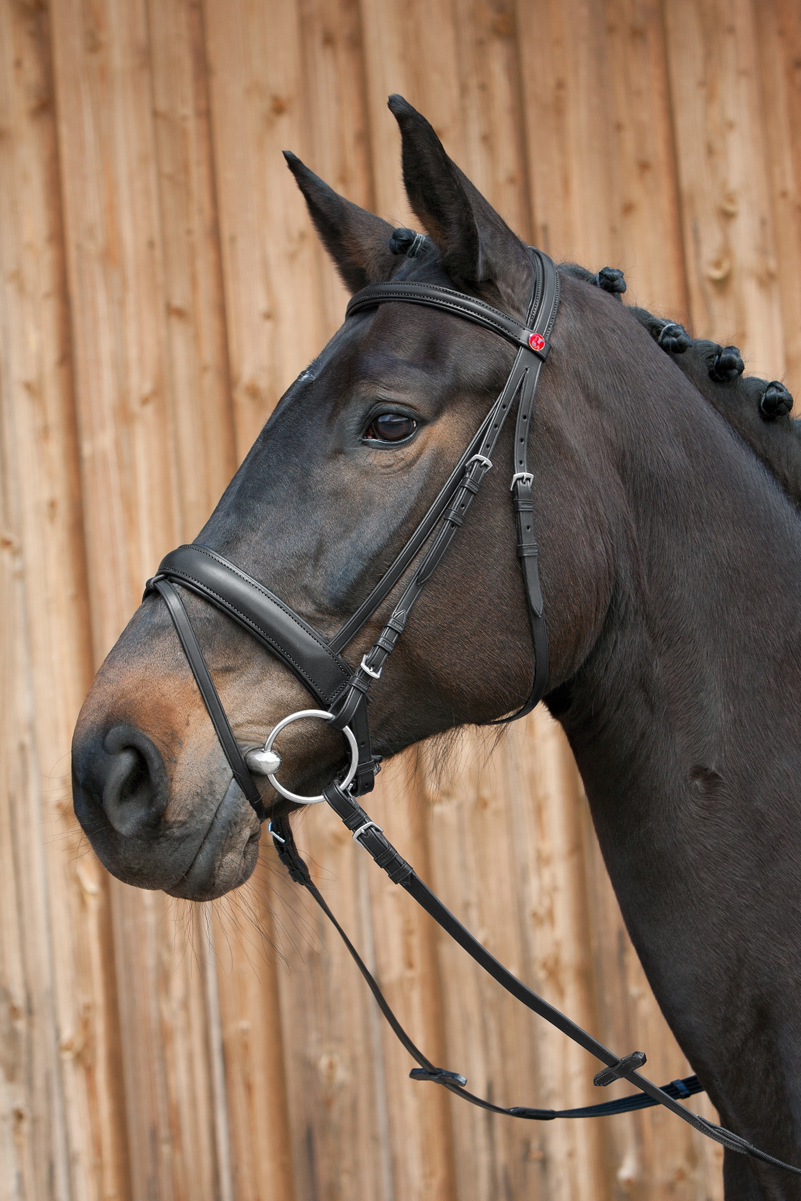 Kieffer Ergonomic Line III Bridle