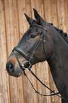 Kieffer Ergonomic Line III Bridle