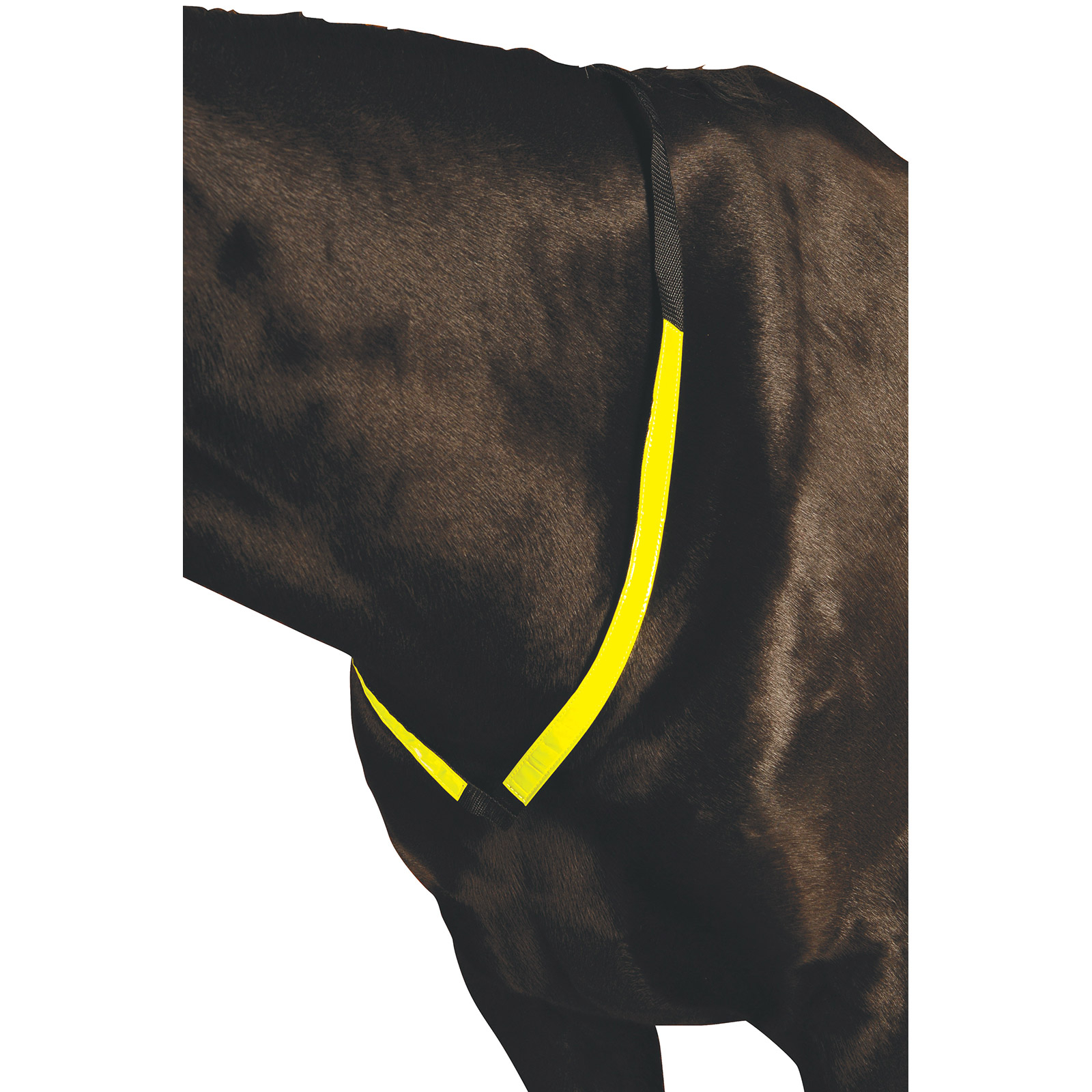 Roma reflekterande br&ouml;sta