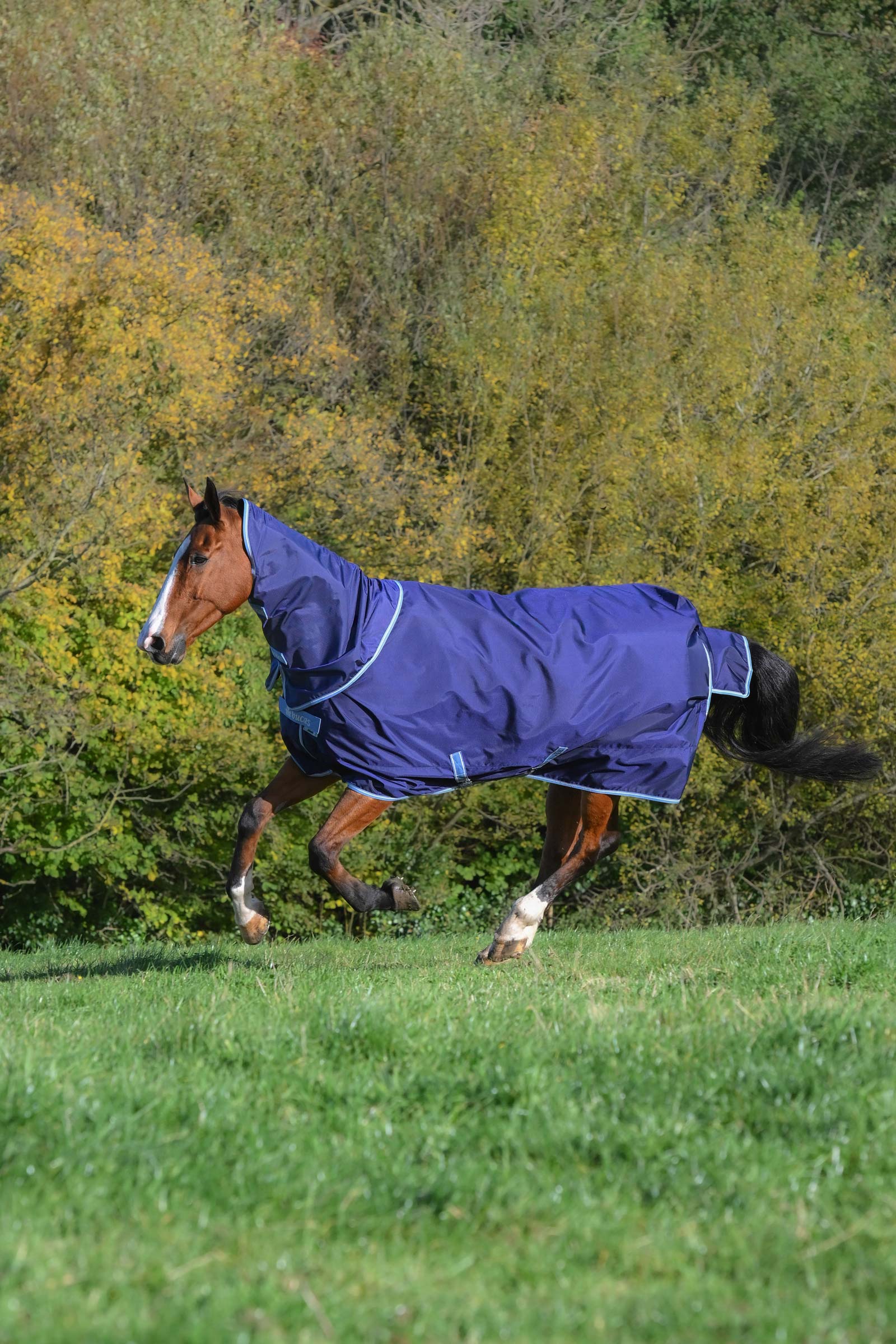 Bucas Atlantic Exclusive t&auml;cke och halsset, 0 g