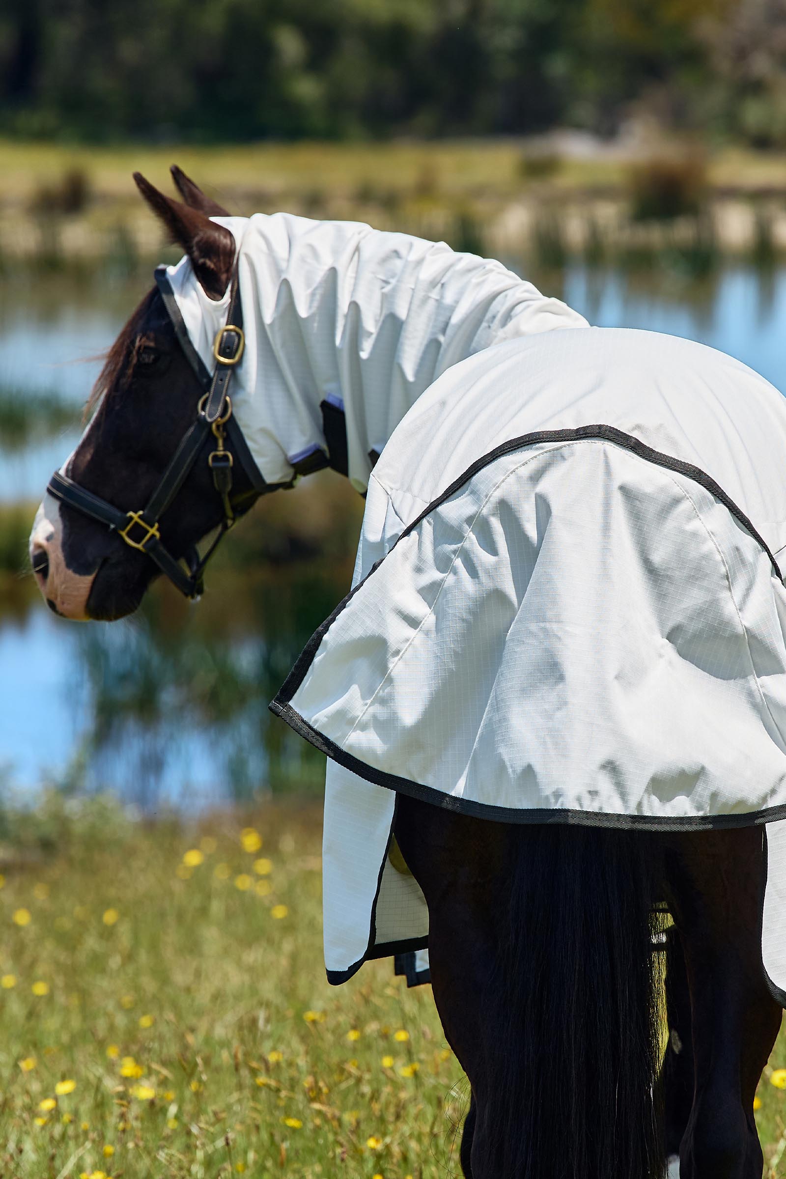 Weatherbeeta ComFiTec Sweet Itch Shield Flugt&auml;cke kombi med fast hals, 0 g  