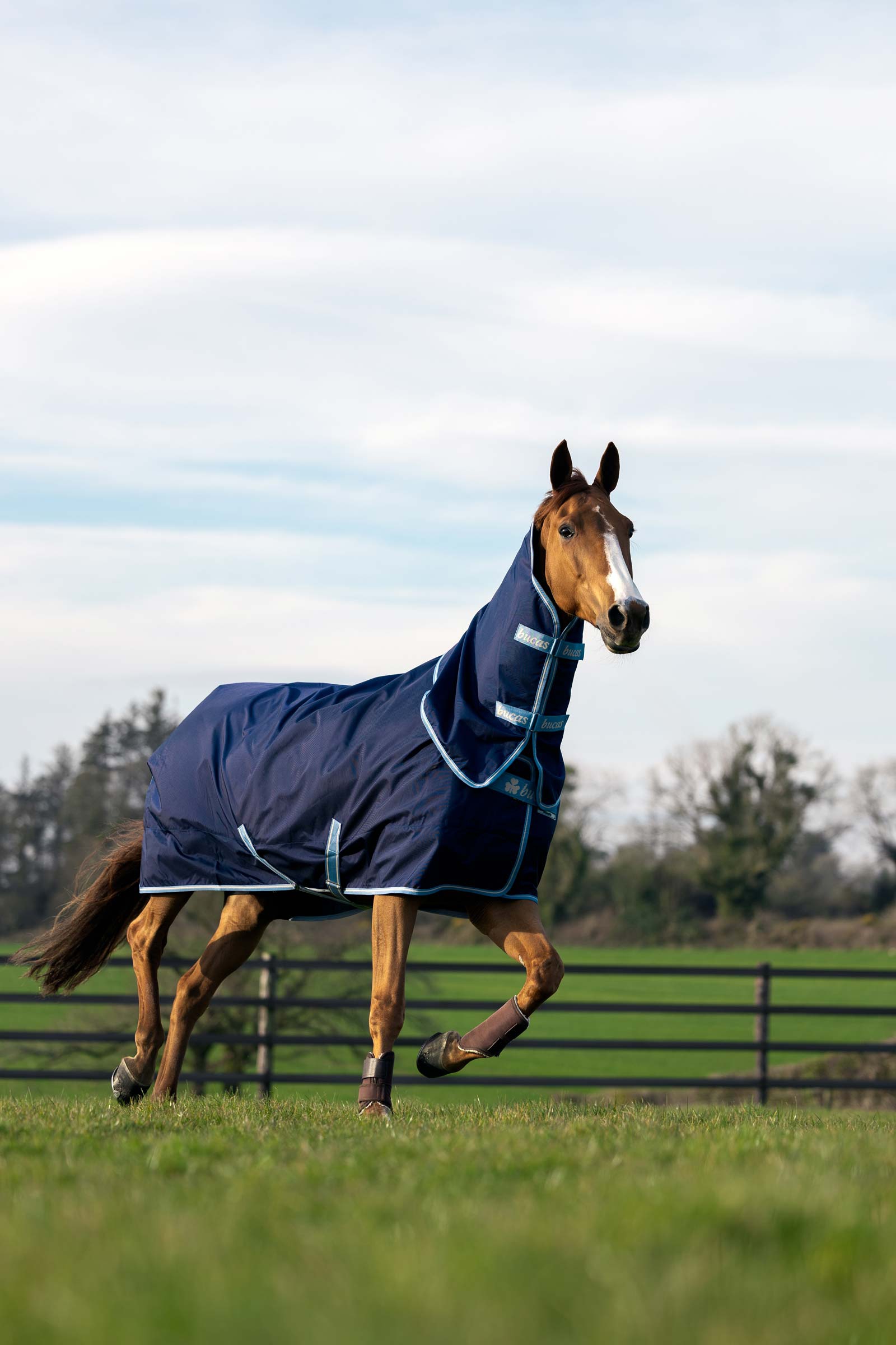 Bucas Atlantic Exclusive t&auml;cke och hals, 150 g