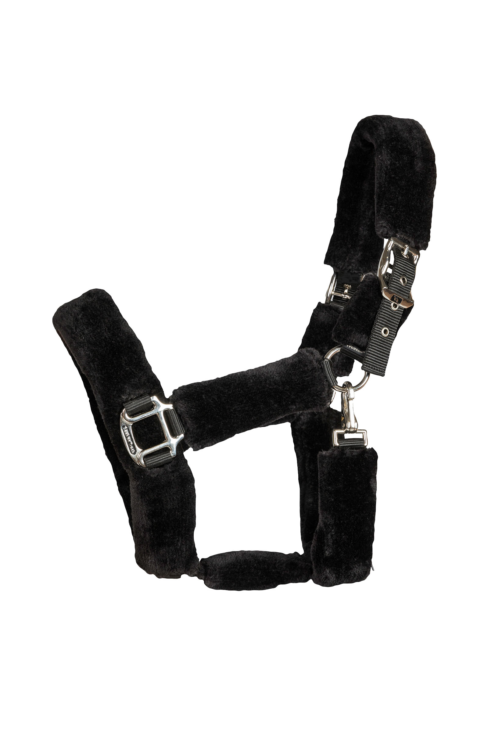 Back on Track Audrey grimma