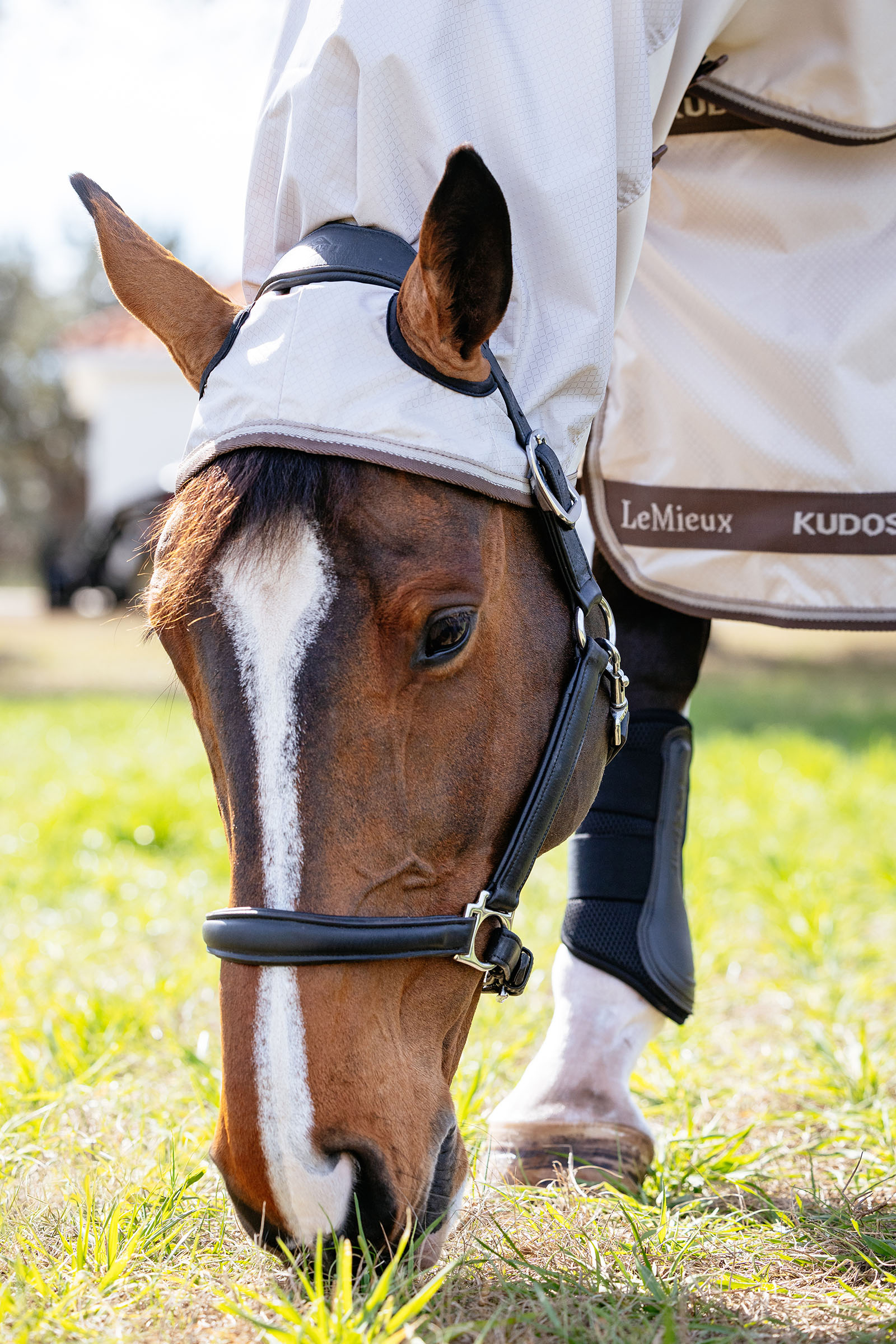 LeMieux Kudos Shower Pro eksemt&auml;cke med avtagbar halsdel