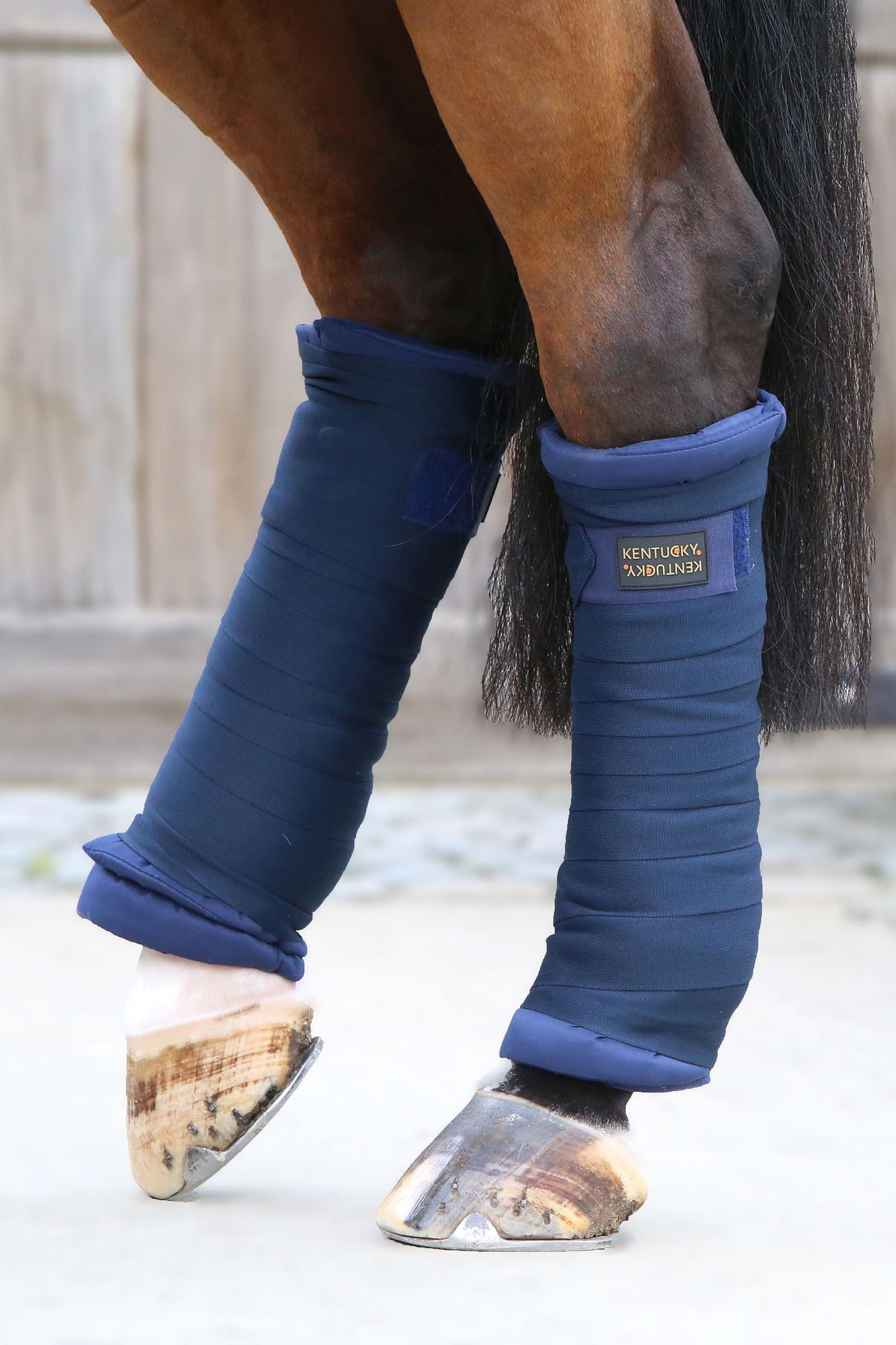 DB/AB Kentucky Horsewear quiltade bandageunderlägg, 4 st