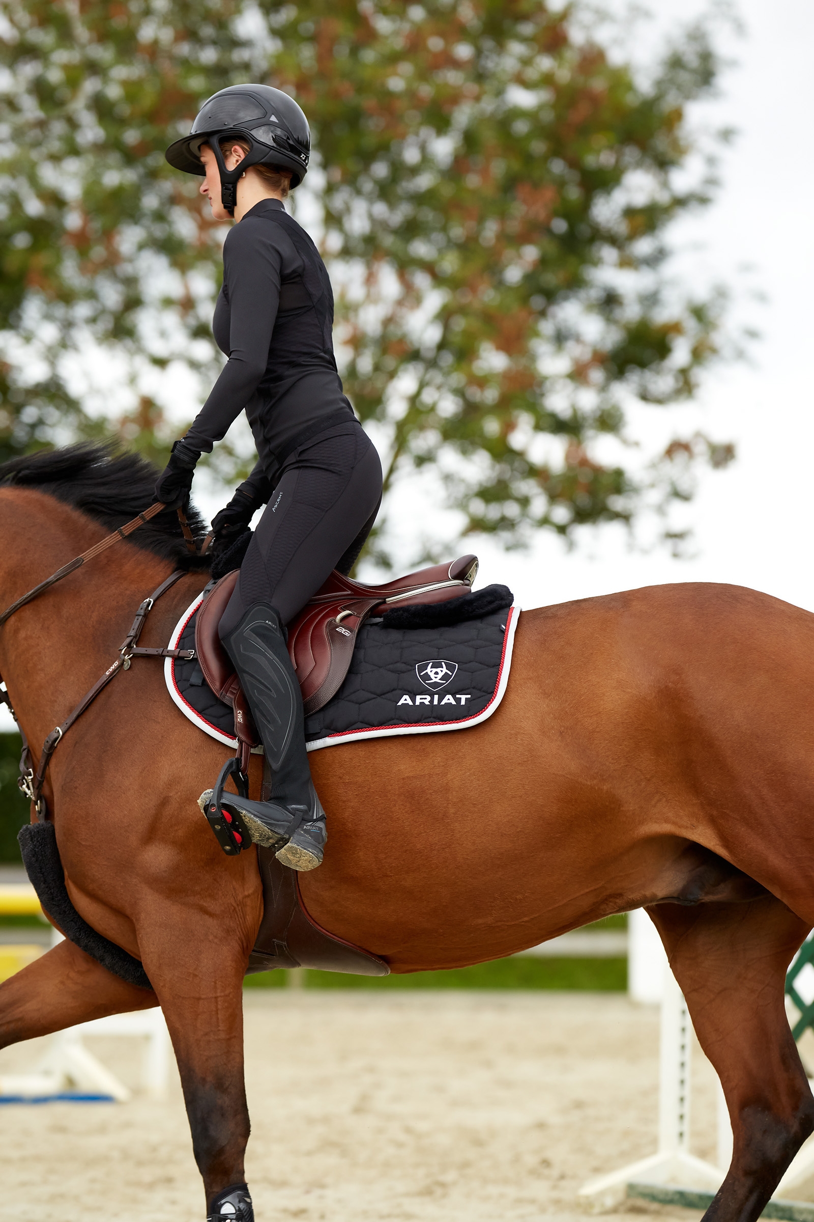 Ariat Ascent dam knäskodda ridtights