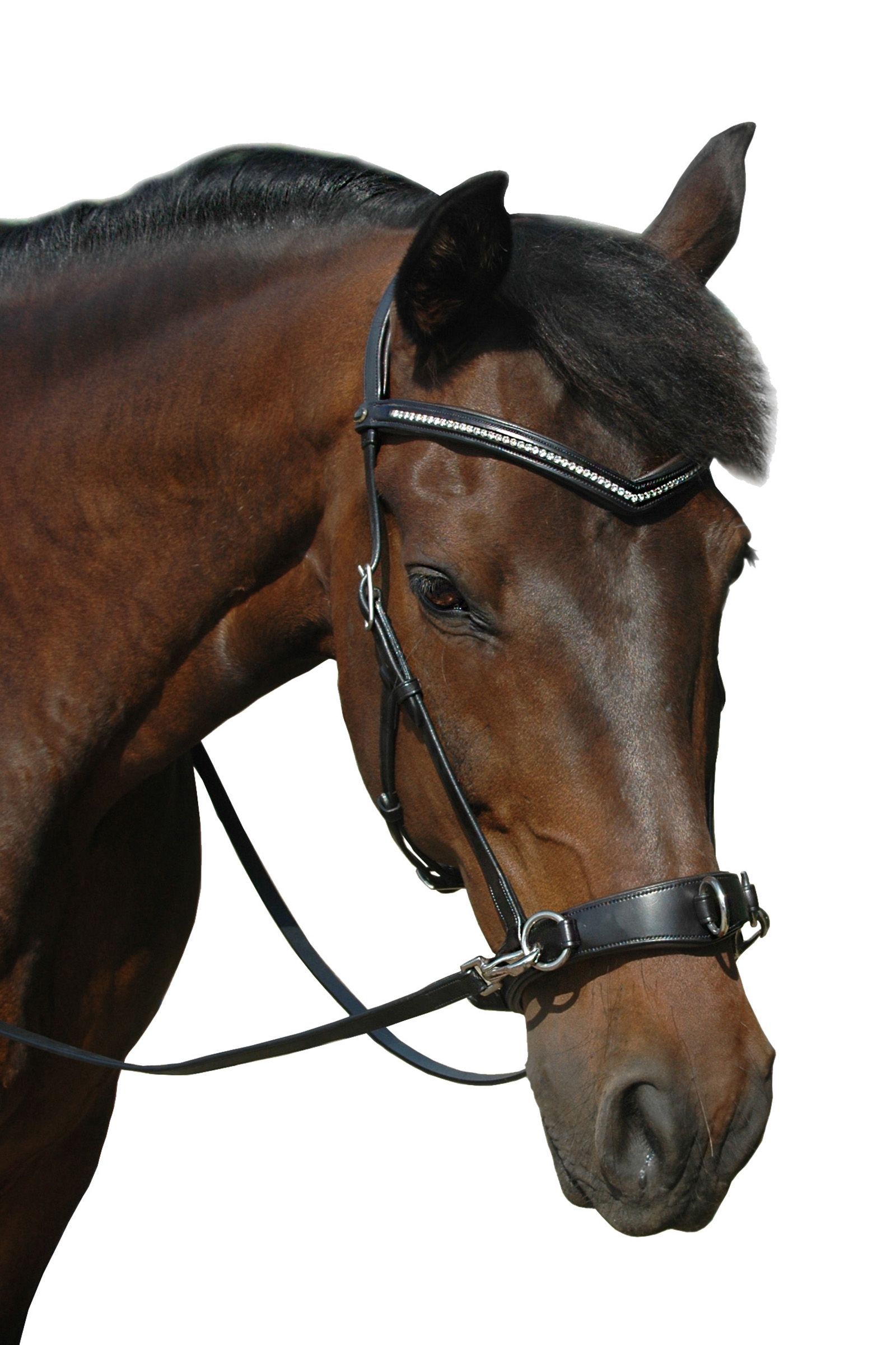 F.R.A. Freedom Riding Articles Wendy B kapson, bettlöst träns, lädertyglar med snabbhakar