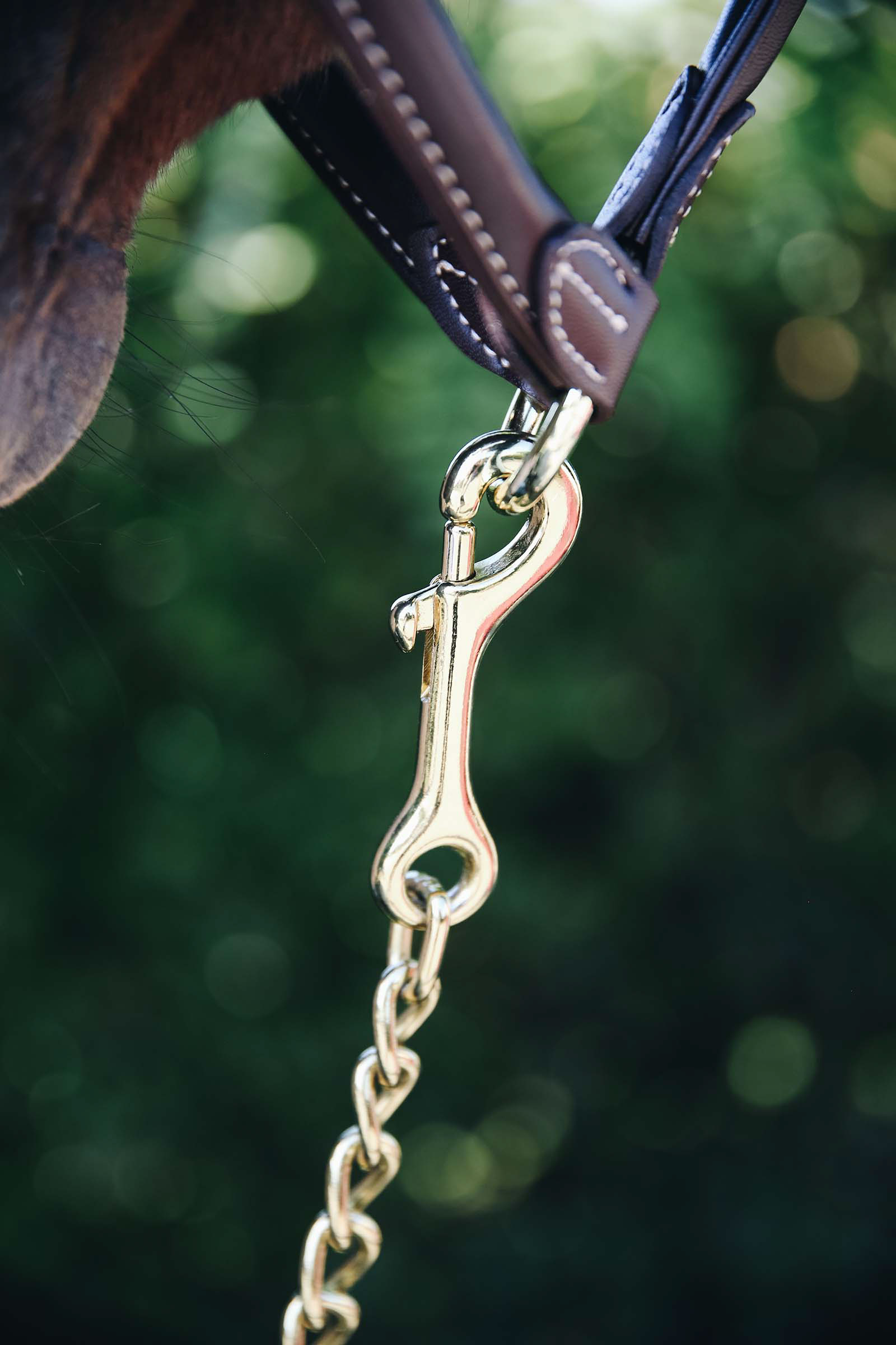 Kentucky Horsewear hingstkedja, 60 cm