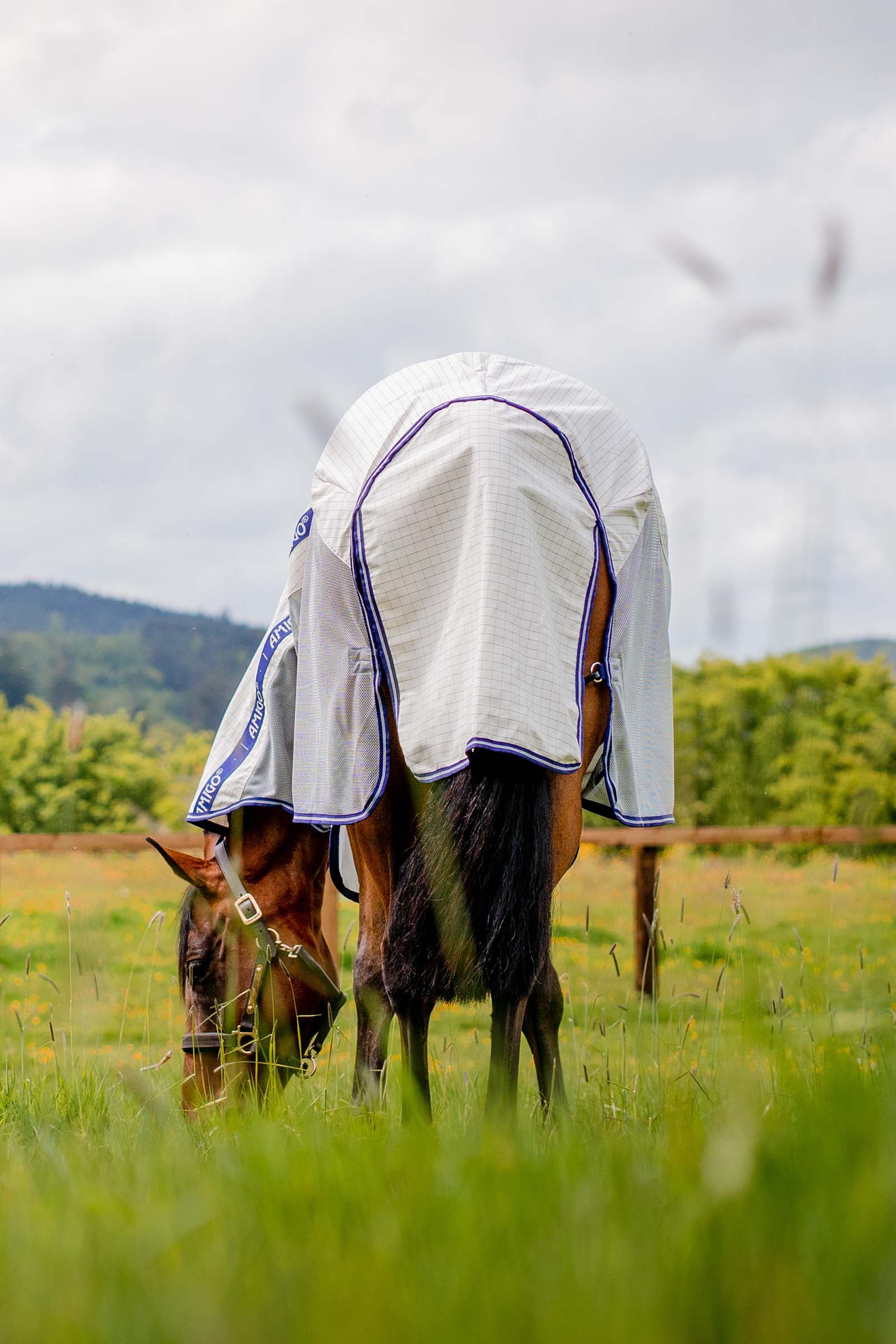 Horseware Amigo Airflow flugt&auml;cke med avtagbar halsdel