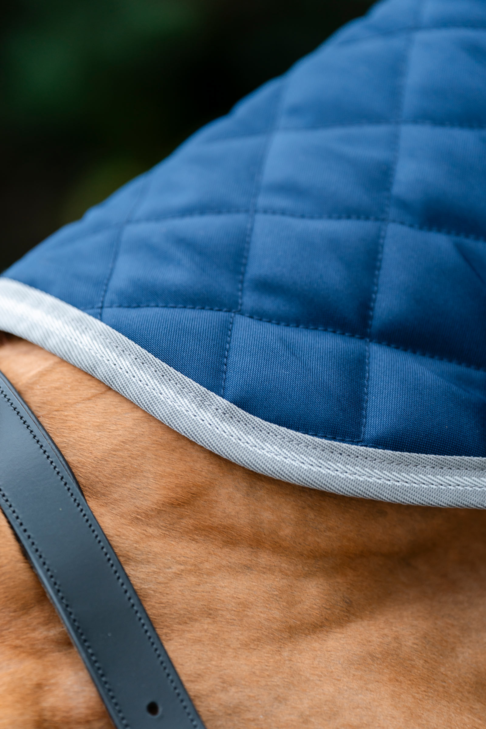 Horseware Amigo kviltat stallt&auml;cke Plus, 200 g