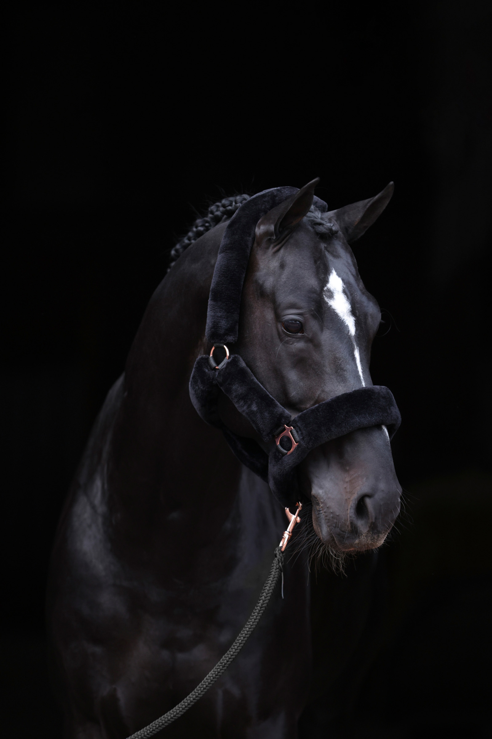 Black Covalliero SuperSoft Grimma