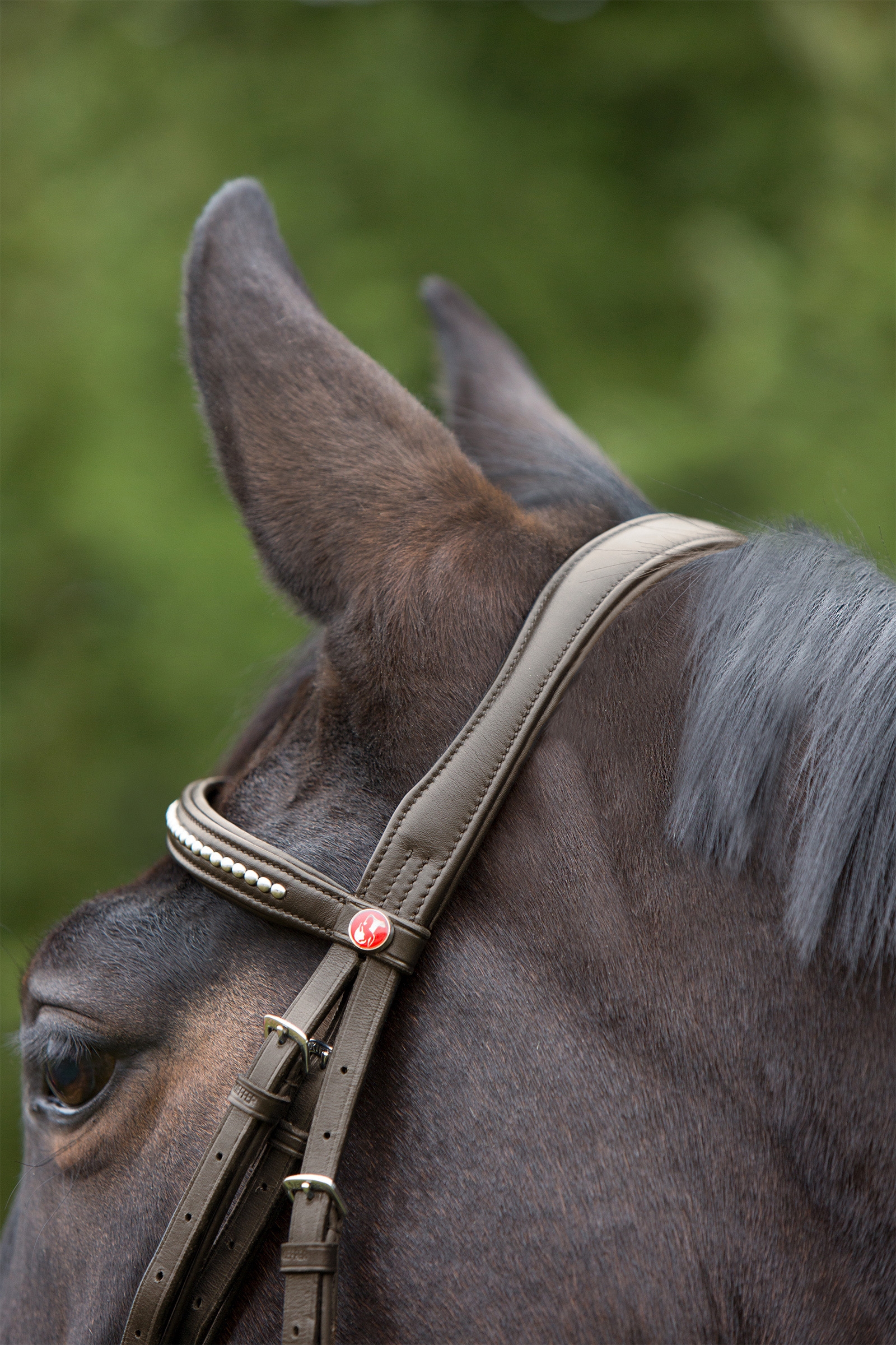 Kieffer Ultrasoft&reg; Bridle