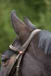 Kieffer Ultrasoft&reg; Bridle