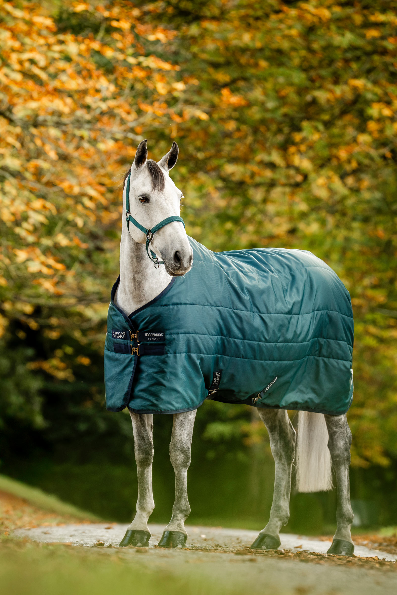 Horseware Amigo Ripstop stalltäcke med fyllning, 350 g