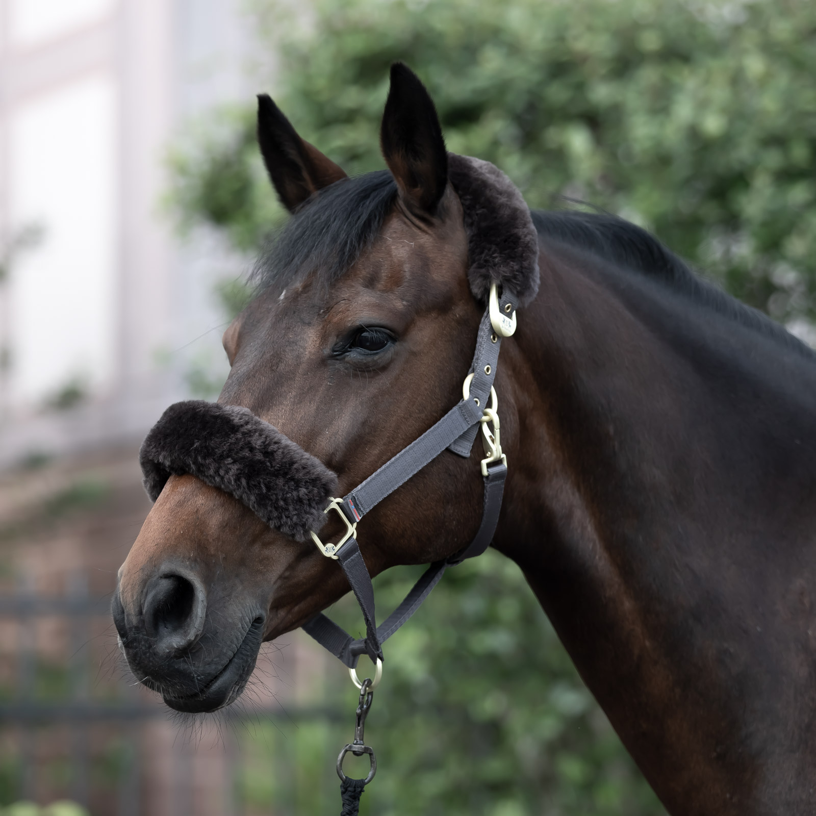 B Vertigo Laurier grimma med f&aring;rskinn
