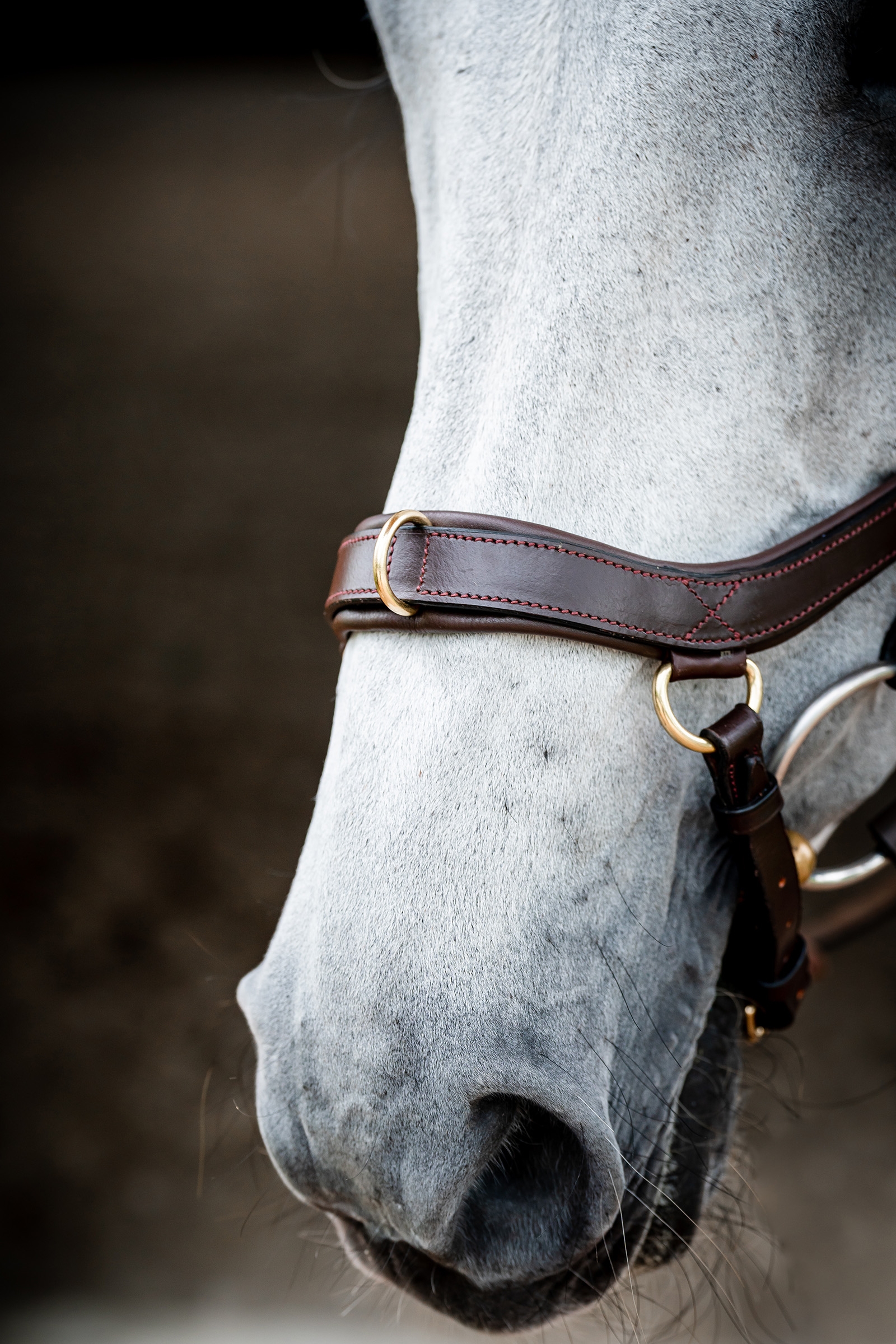 Horseware Micklem 2 Multi Träns