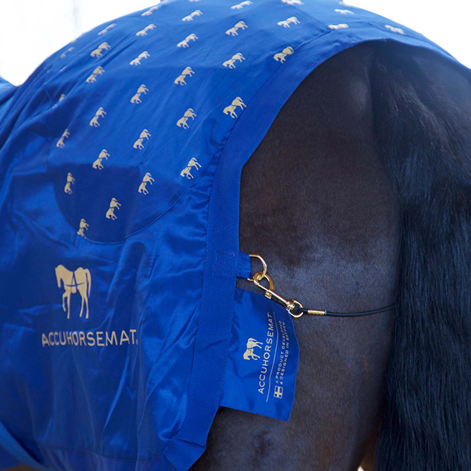 Accuhorsemat original