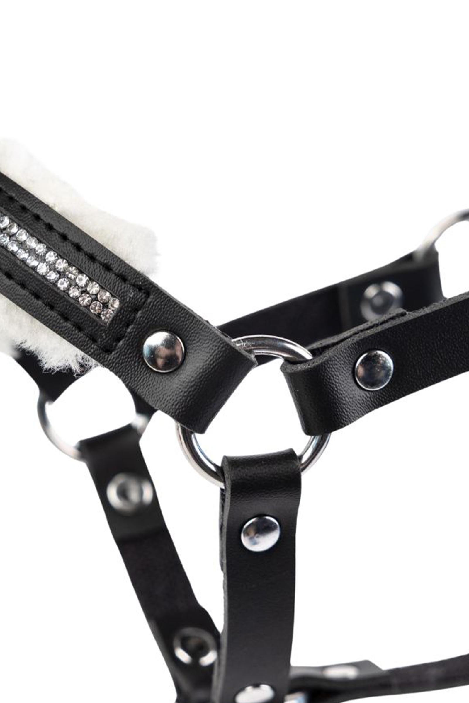 My Hobby Horse grimma med plysch och stenar