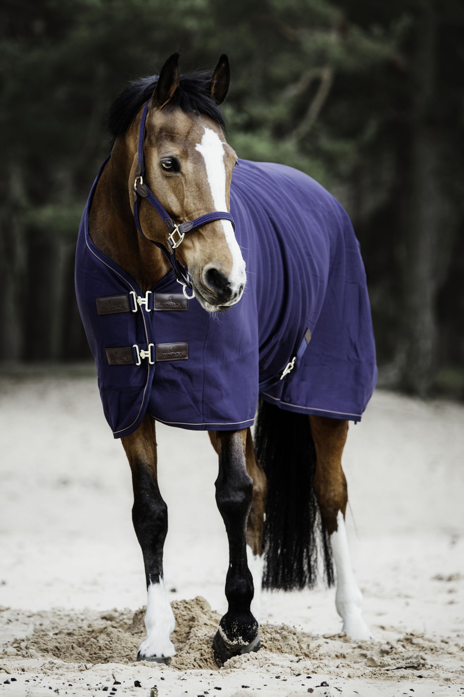 Kentucky Horsewear Tiny Cooler svett&auml;cke i fleece