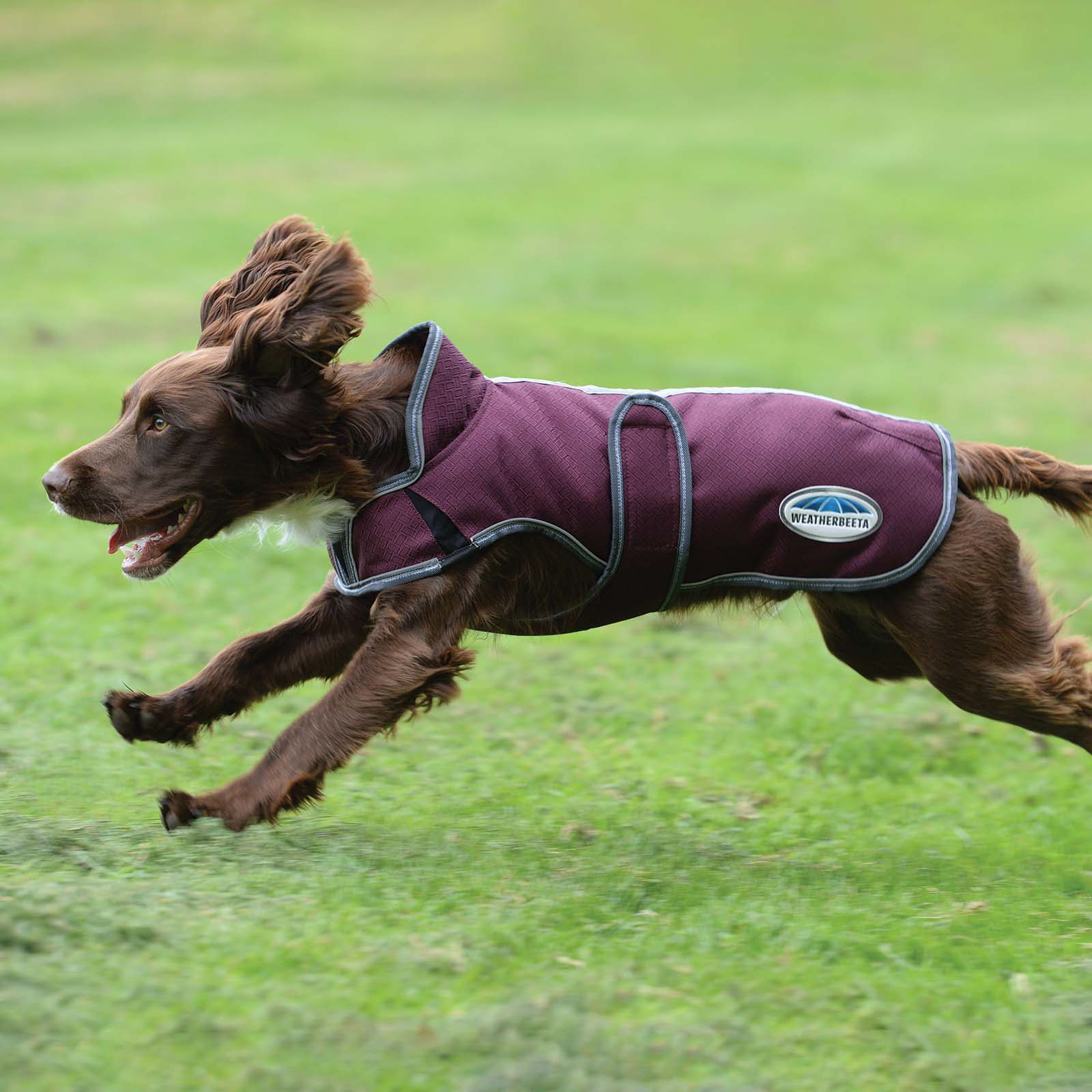 Weatherbeeta Comfitec Premier Free Parka Deluxe hundtäcke, 220g