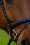 Trust Equestrian Amsterdam Combined Noseband Anatomic Bridle