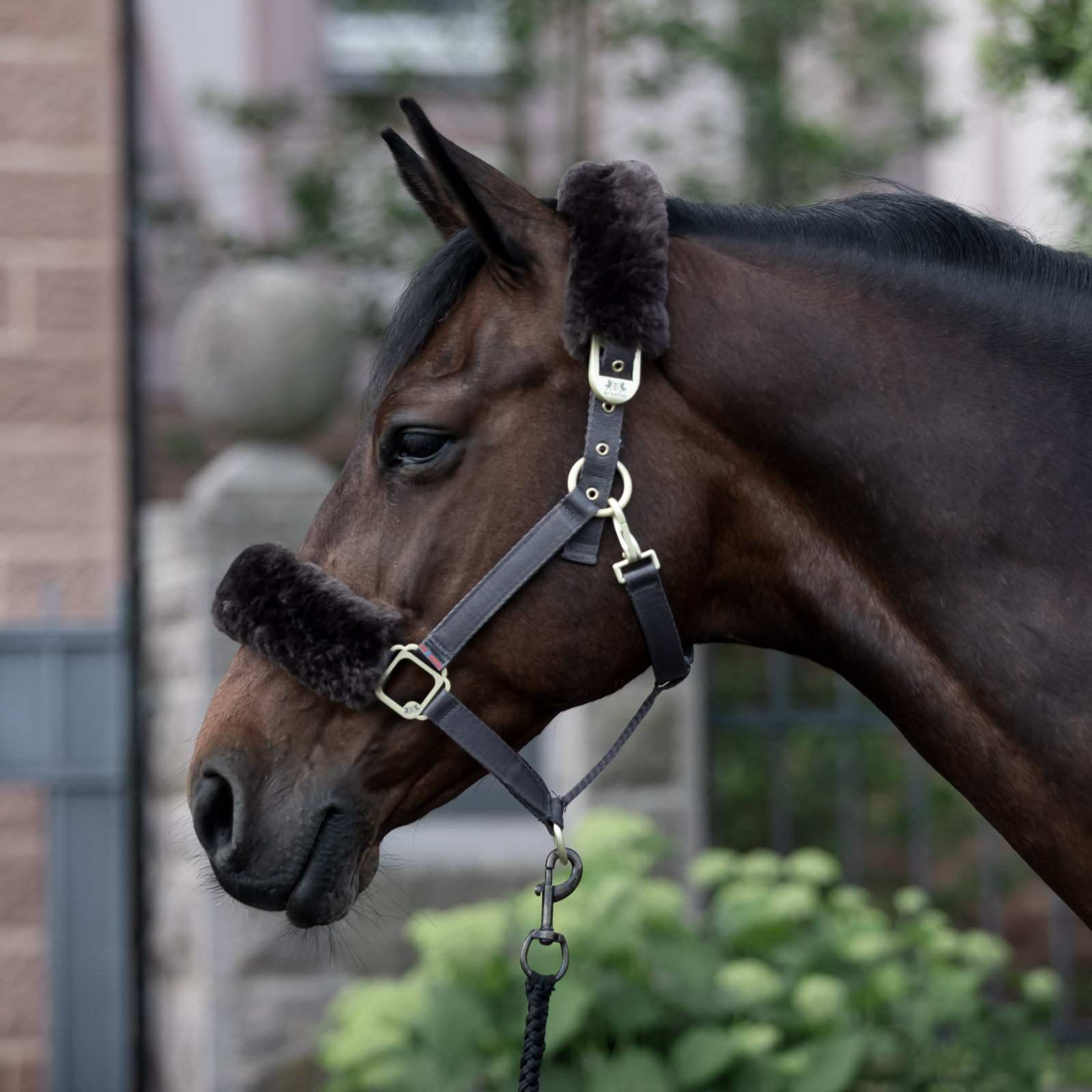 B Vertigo Laurier grimma med f&aring;rskinn
