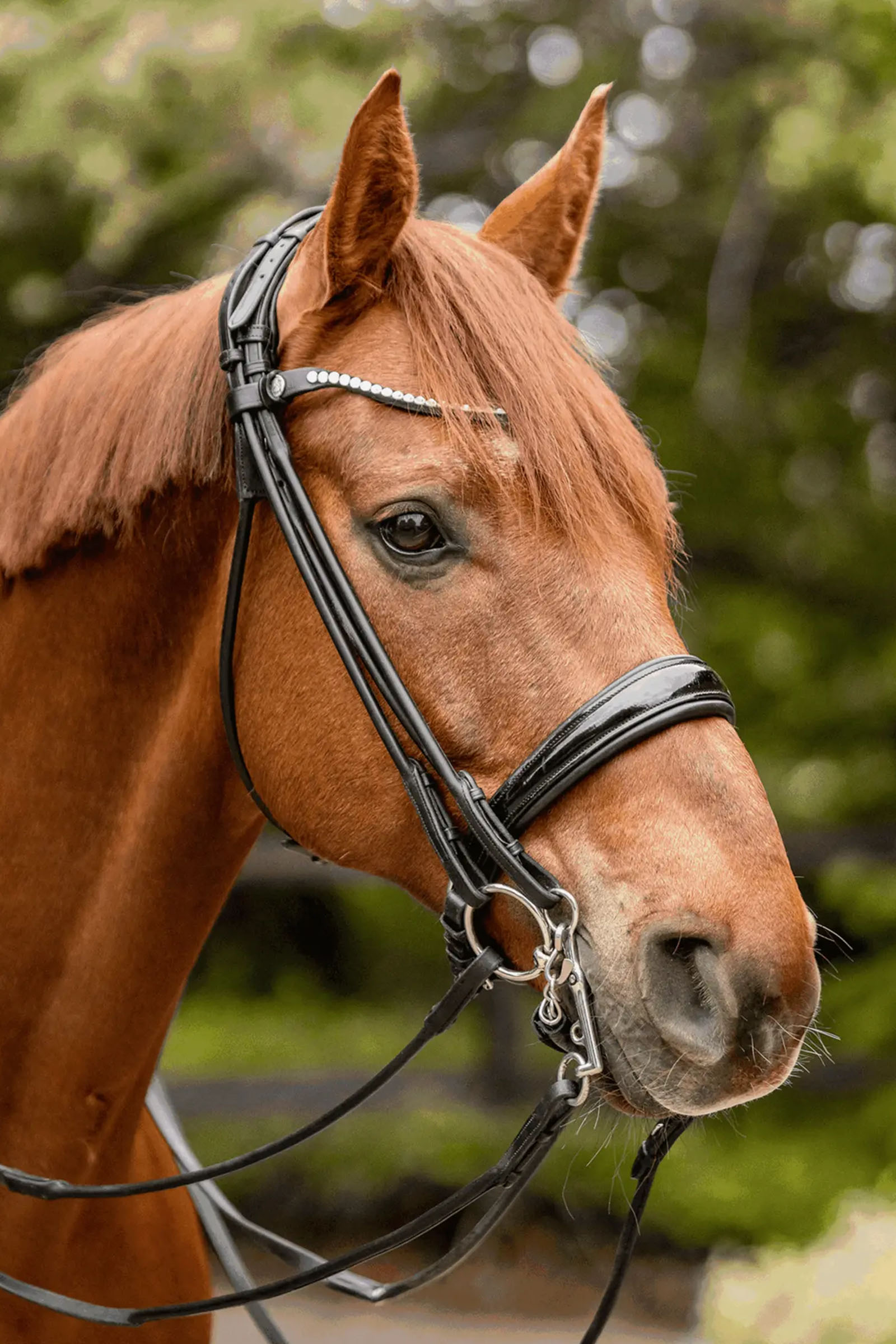 Sprenger Novocontact Weymouth 14mm Sensogan med 5cm rostfria sk&auml;nklar