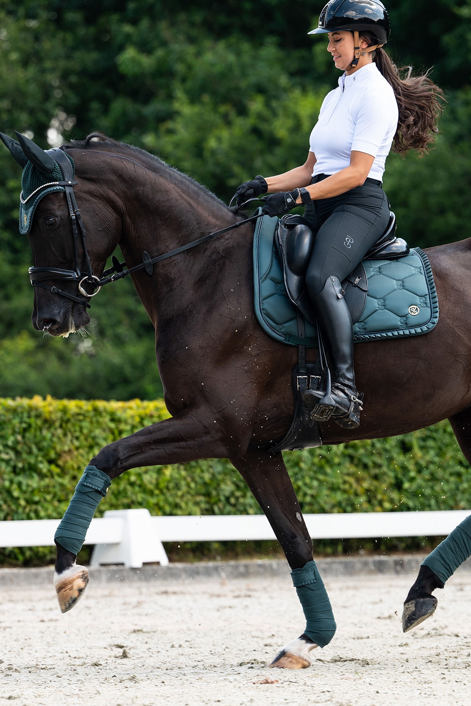 PS of Sweden dressyrschabrak Ruffle