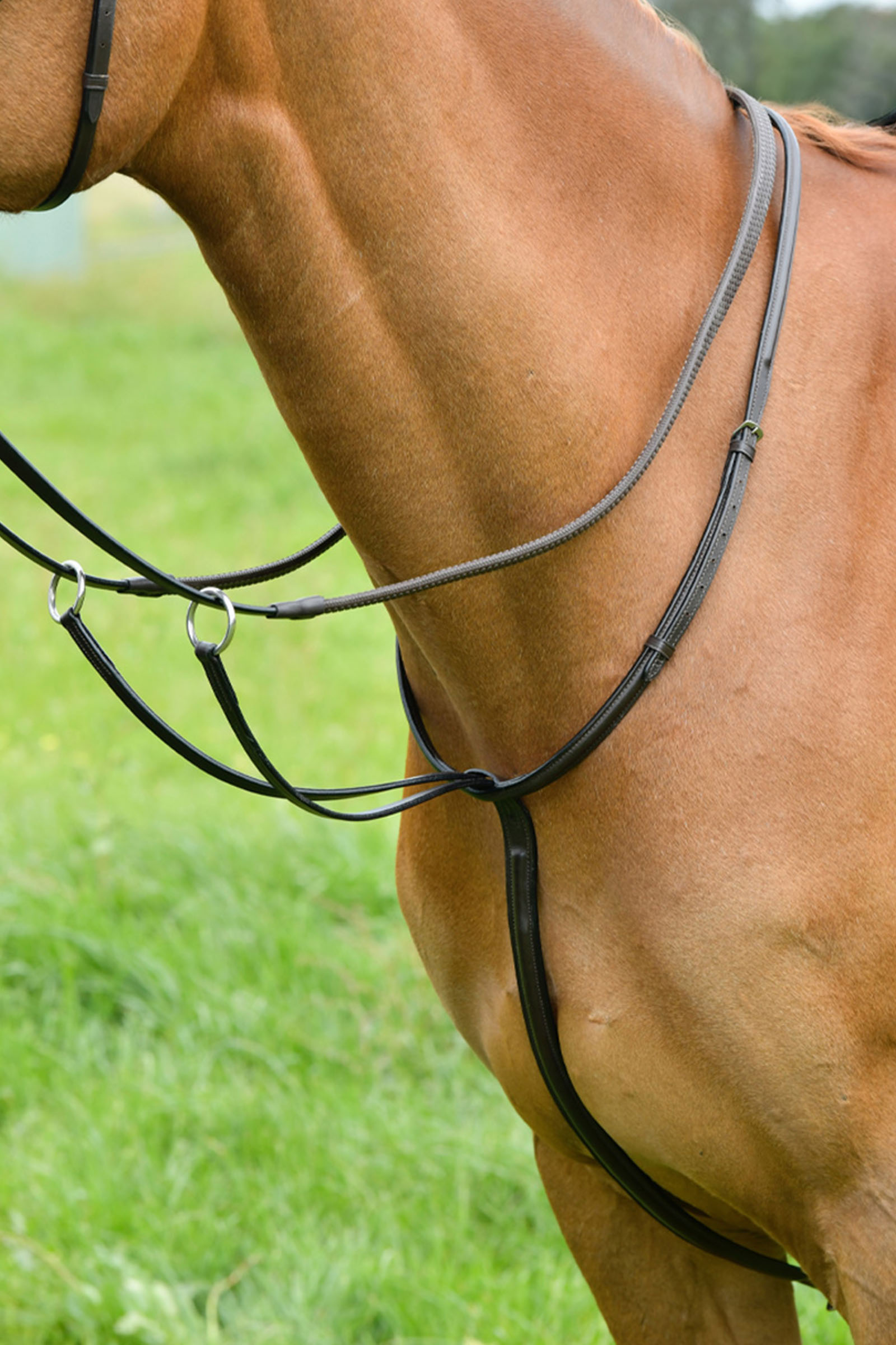 Brown Kincade klassisk löpmartingal med upphöjd söm