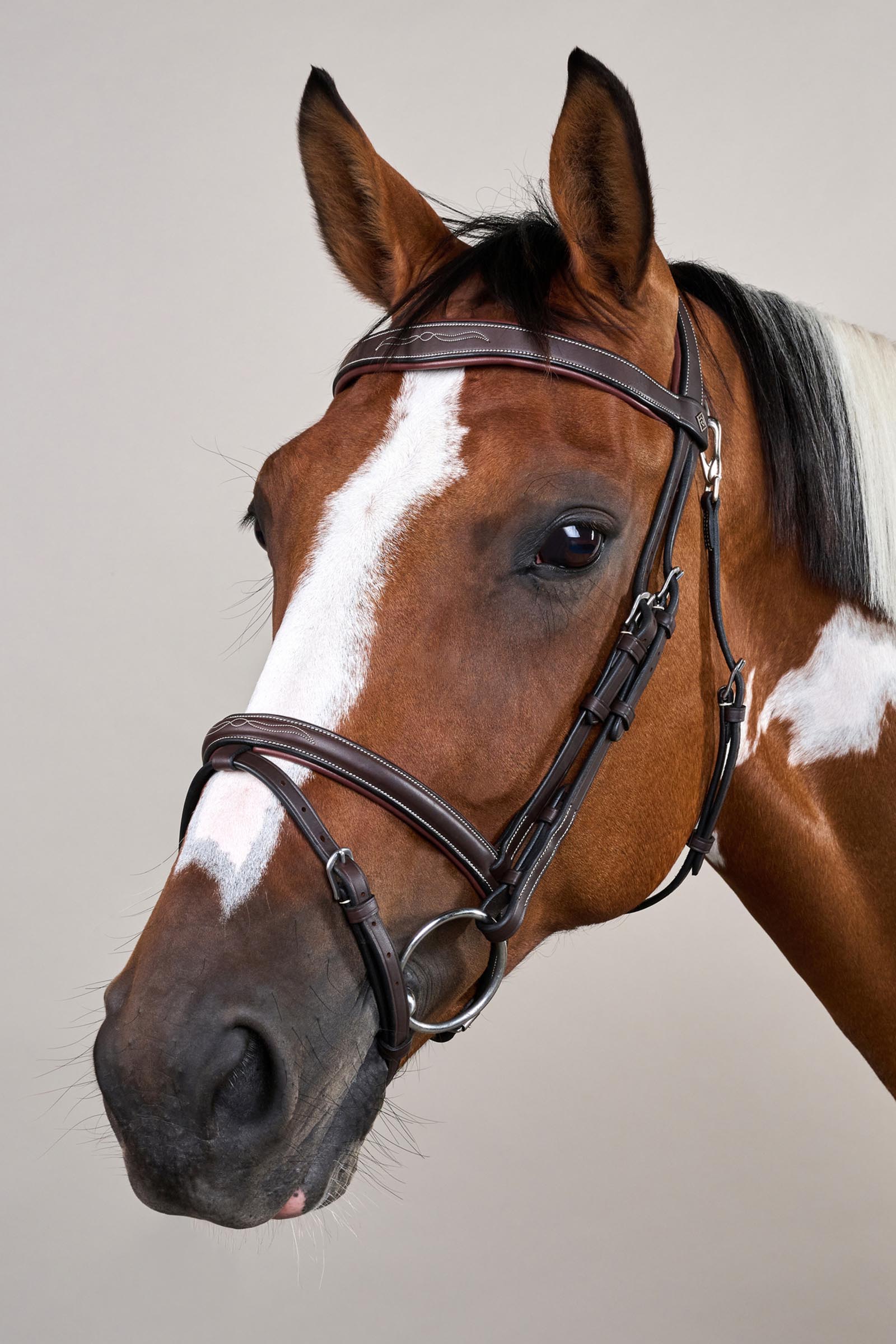 Dy'on Working tr&auml;ns med kombinerad nosgrimma och karbinhakar  