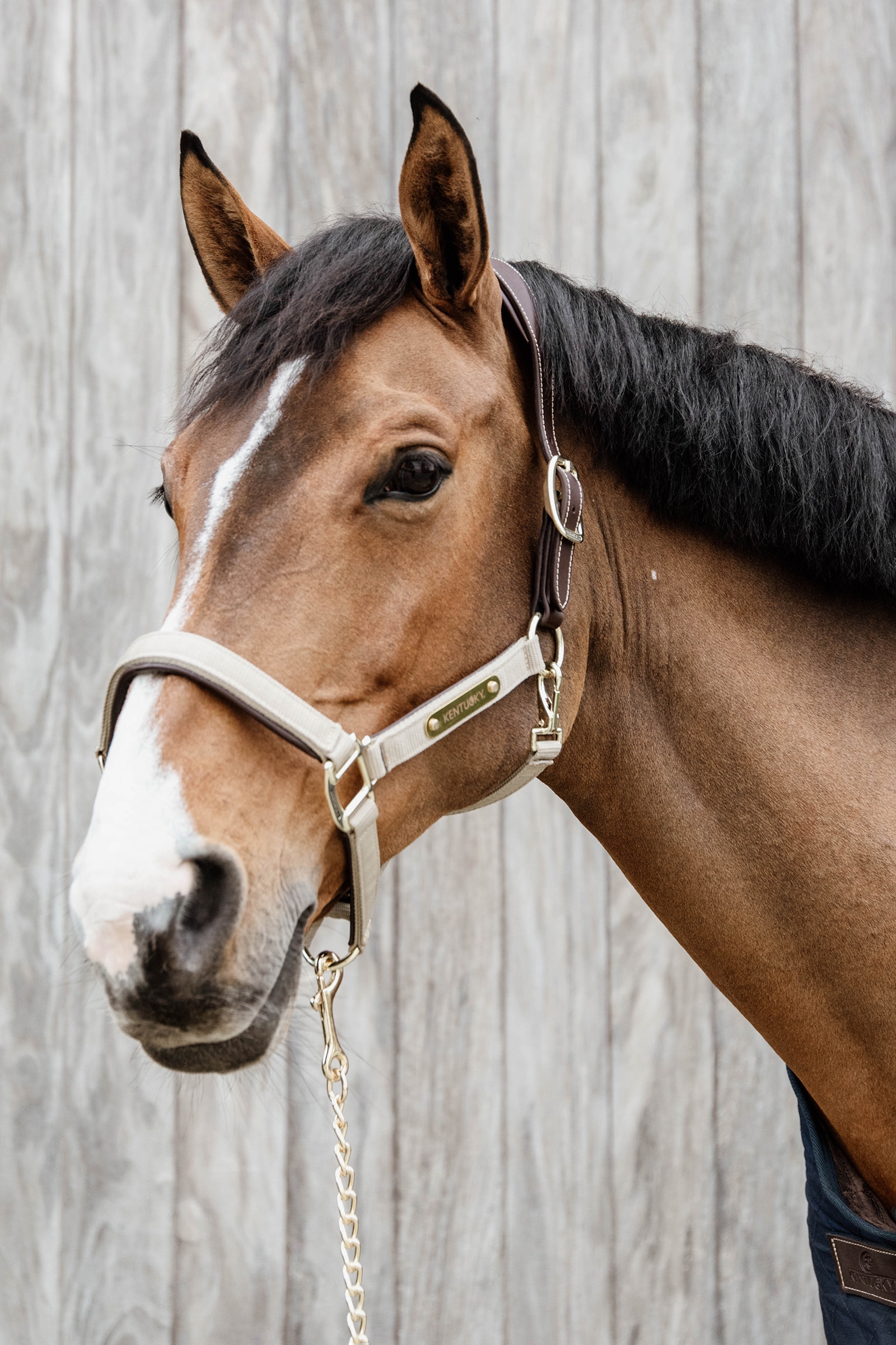 Kentucky Horsewear Anatomic nylongrimma