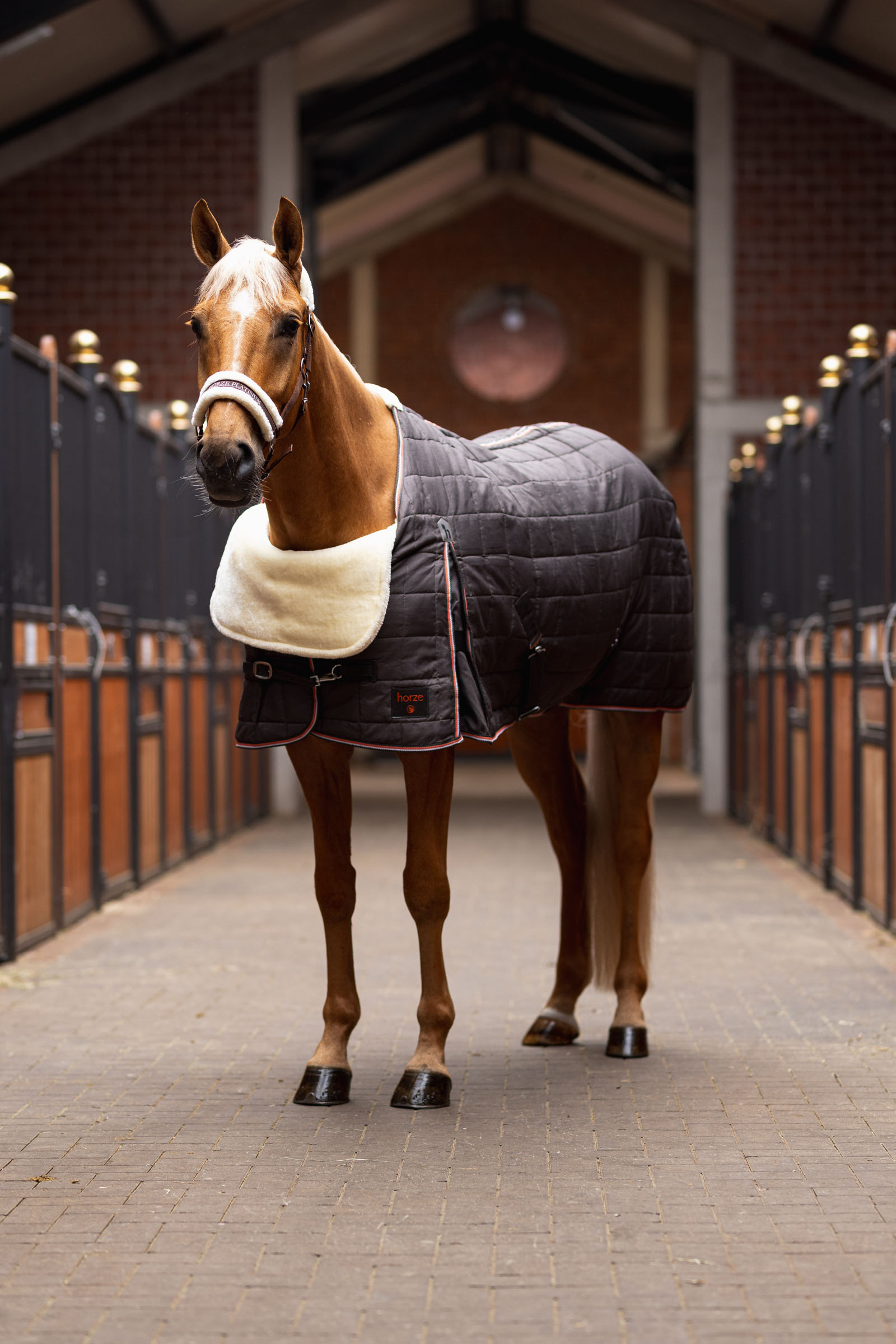 Horze Komfort axelskydd