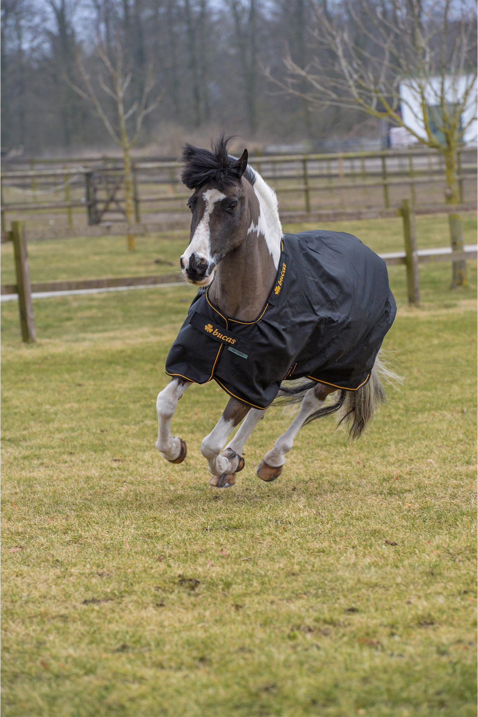 Bucas Irish utetäcke, 100 g