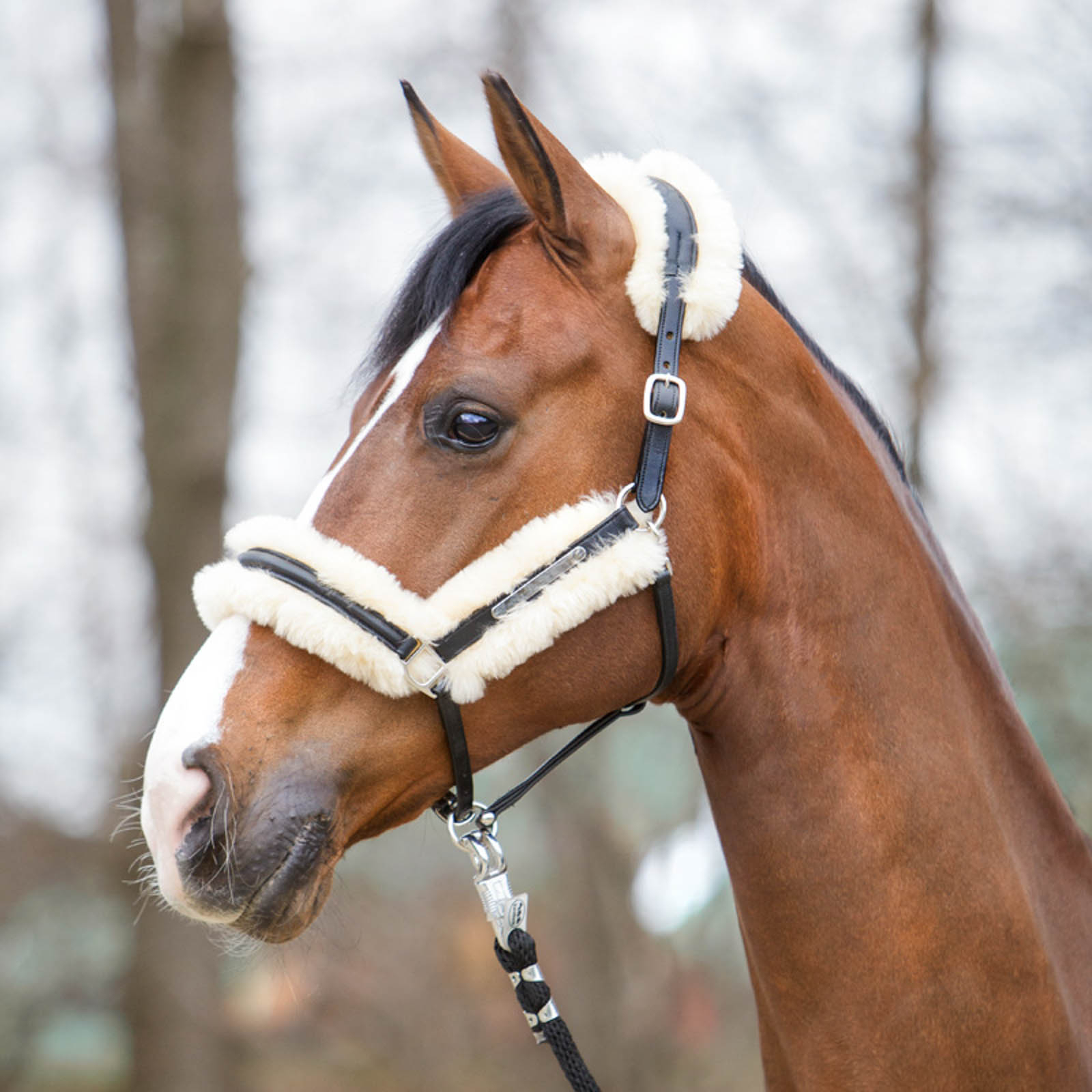 Kavalkade Marvelous L&auml;dergrimma med f&aring;rskinn