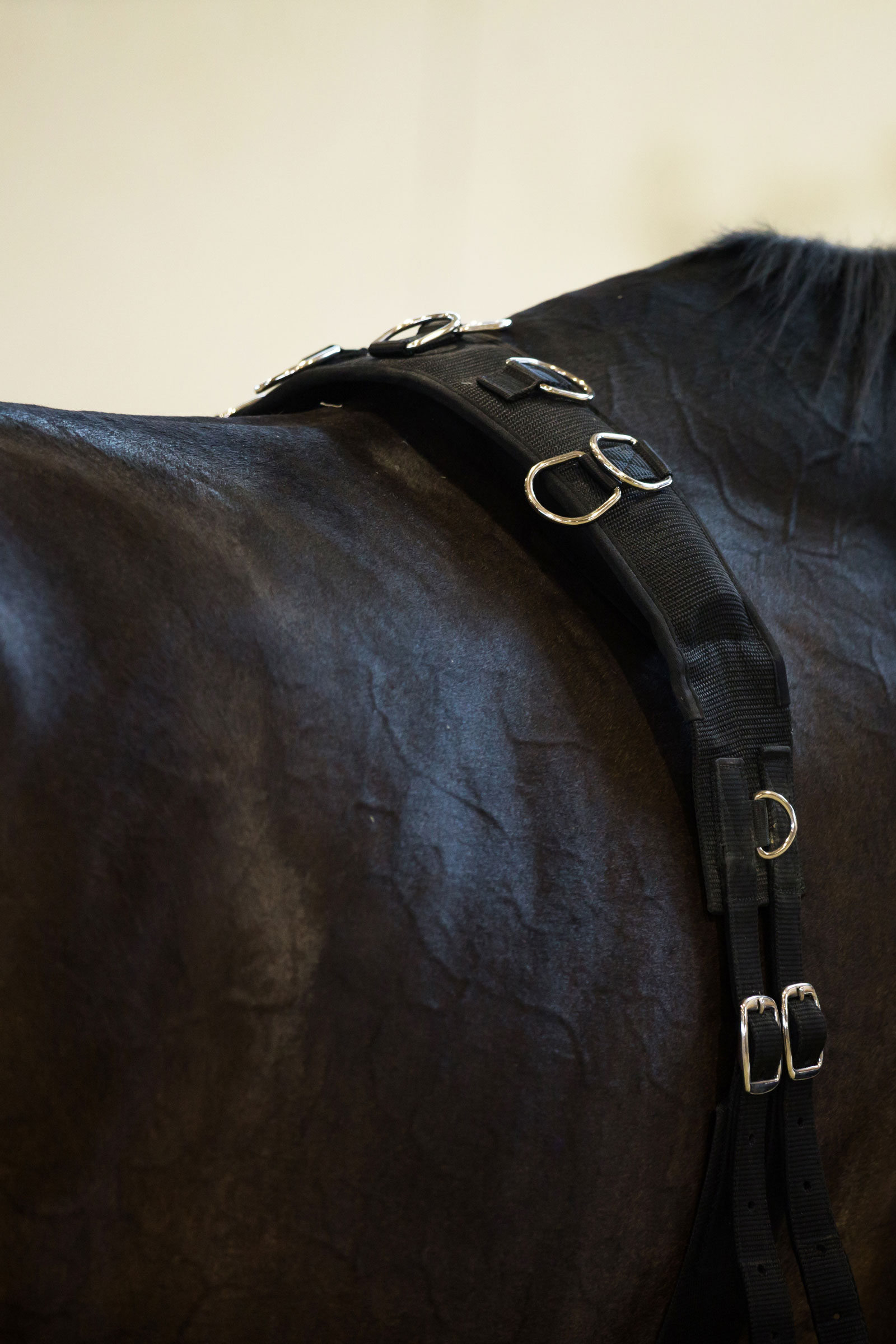 Horze longergjord i nylon