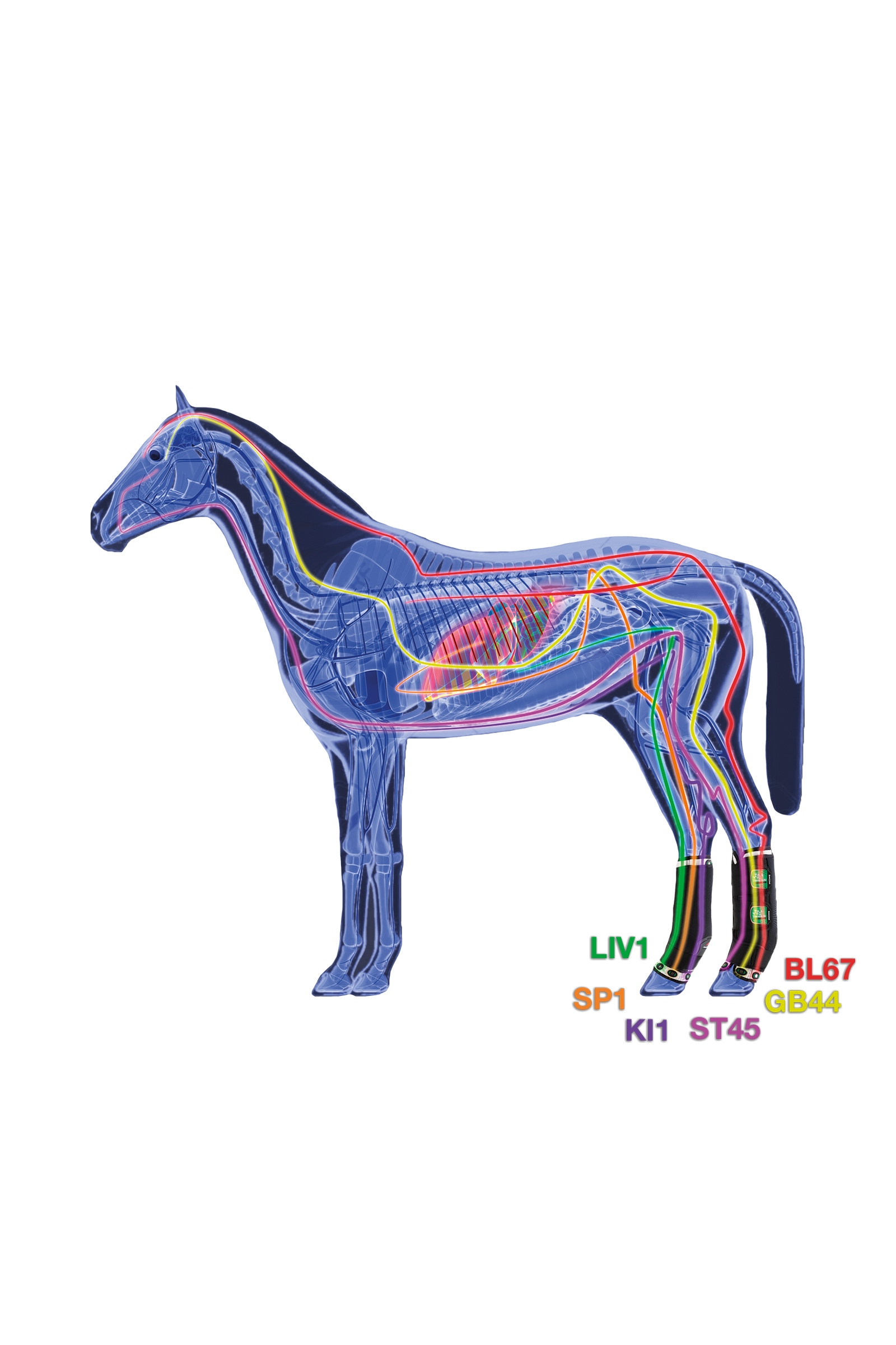 Zandona Therapeutic Support Boot Air bakbensskydd